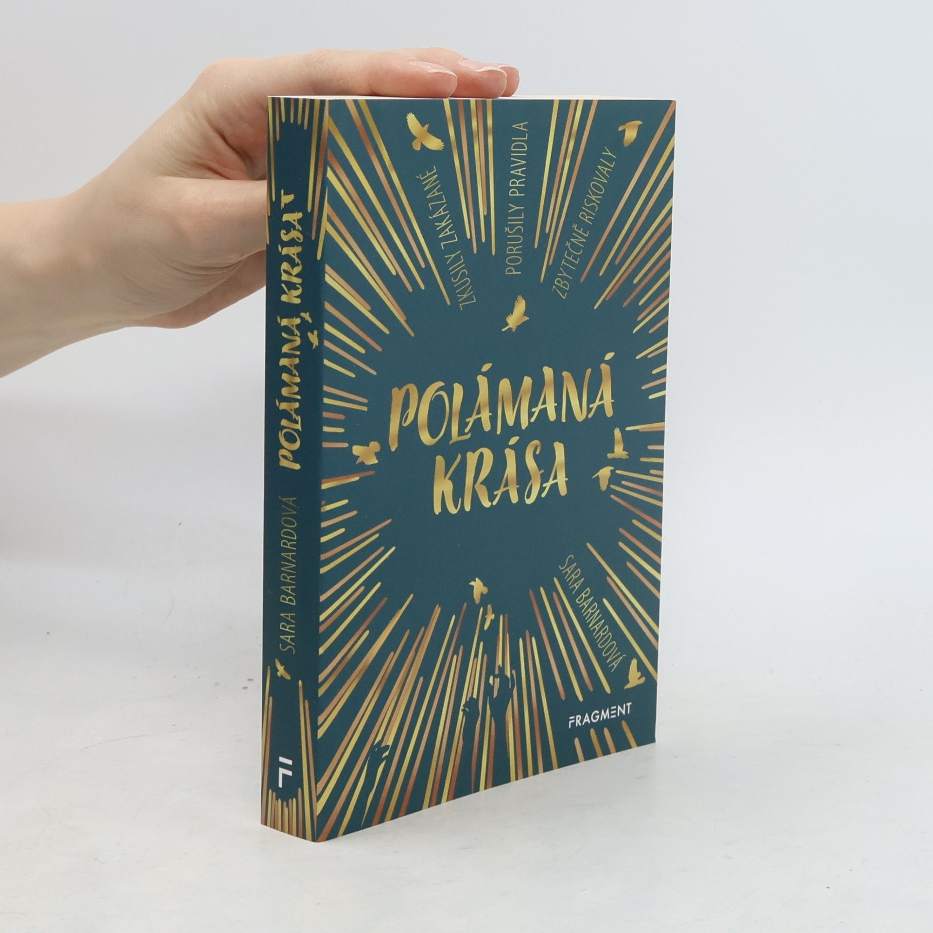Sara Barnard Polámaná krása