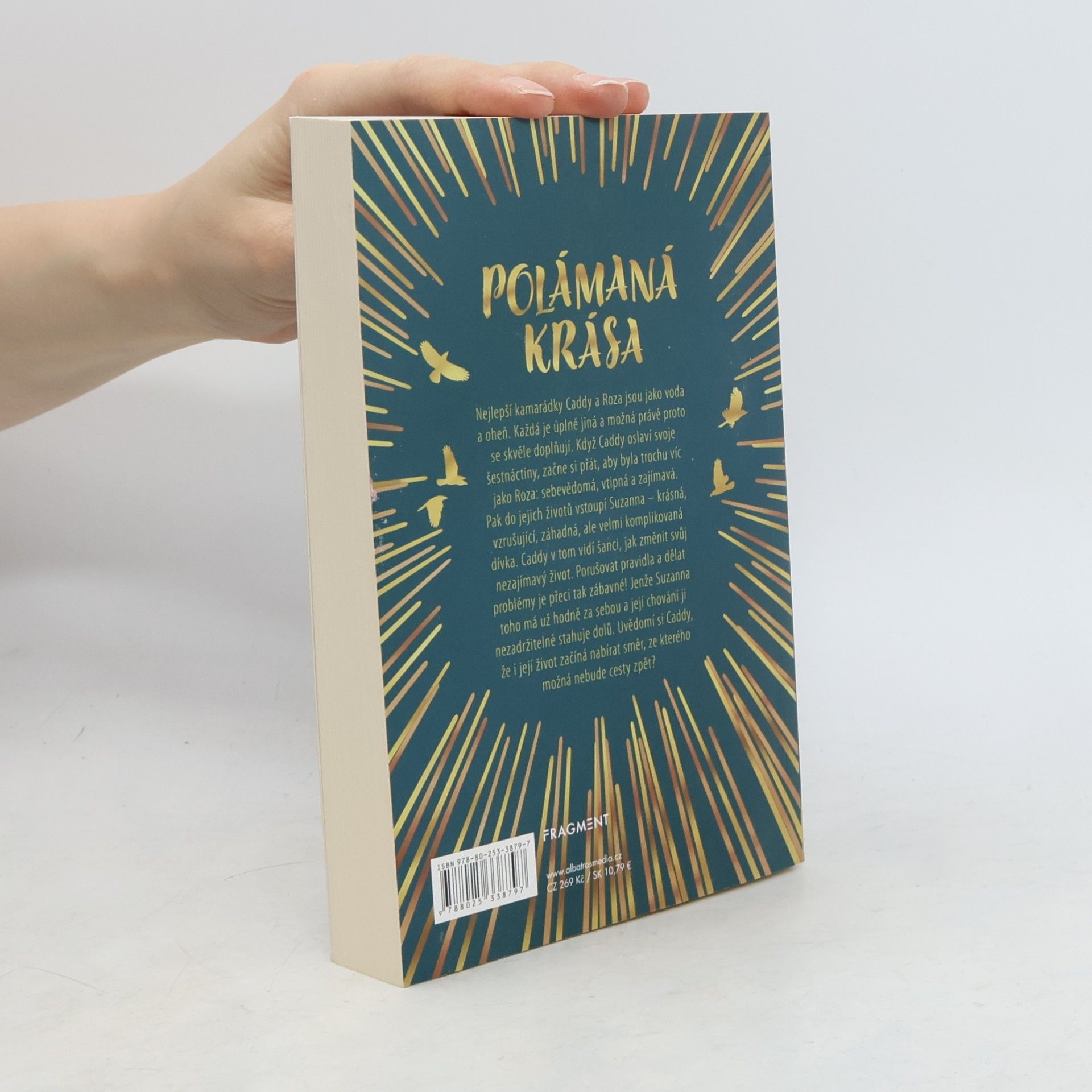 Sara Barnard Polámaná krása