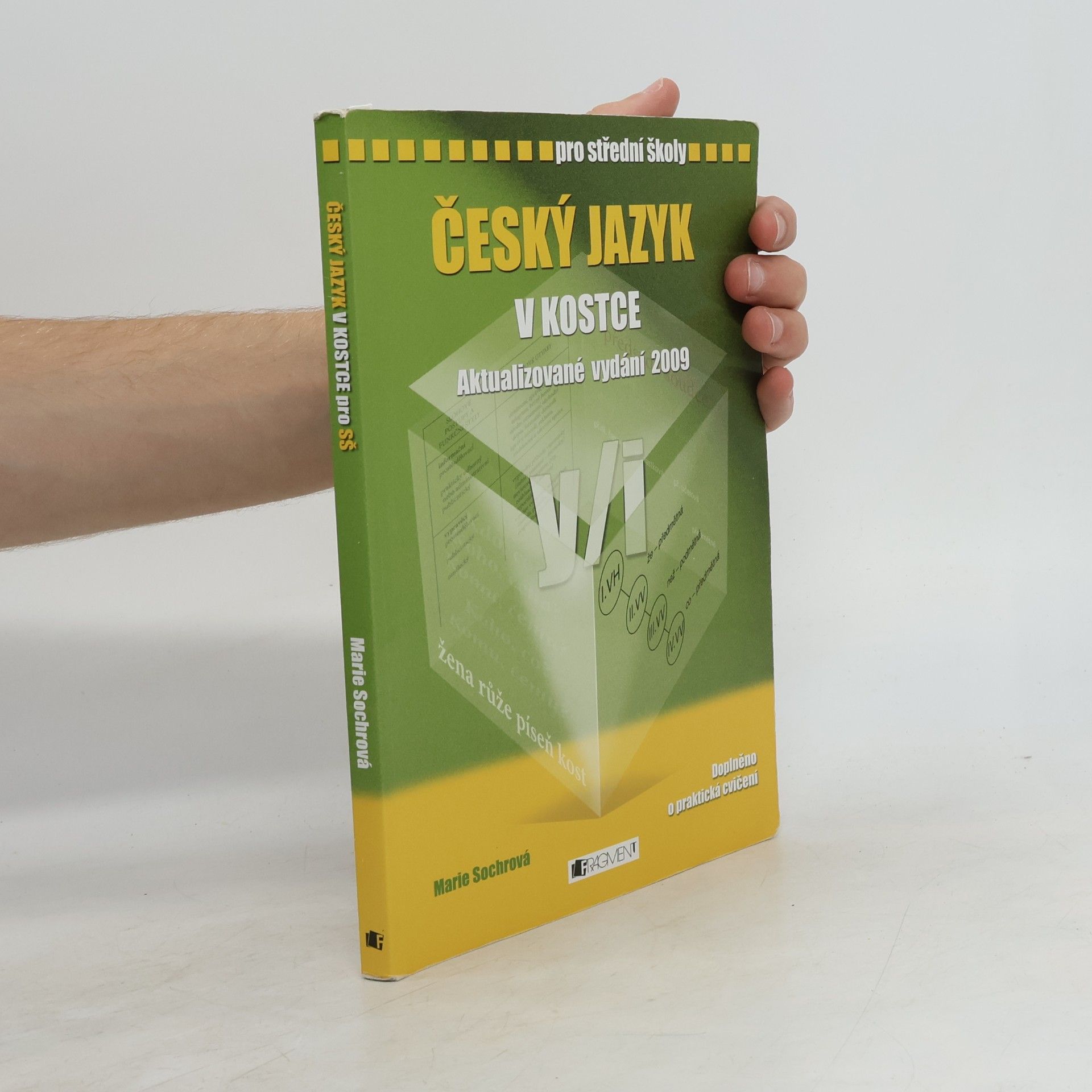 Český jazyk v kostce : pro střední školy