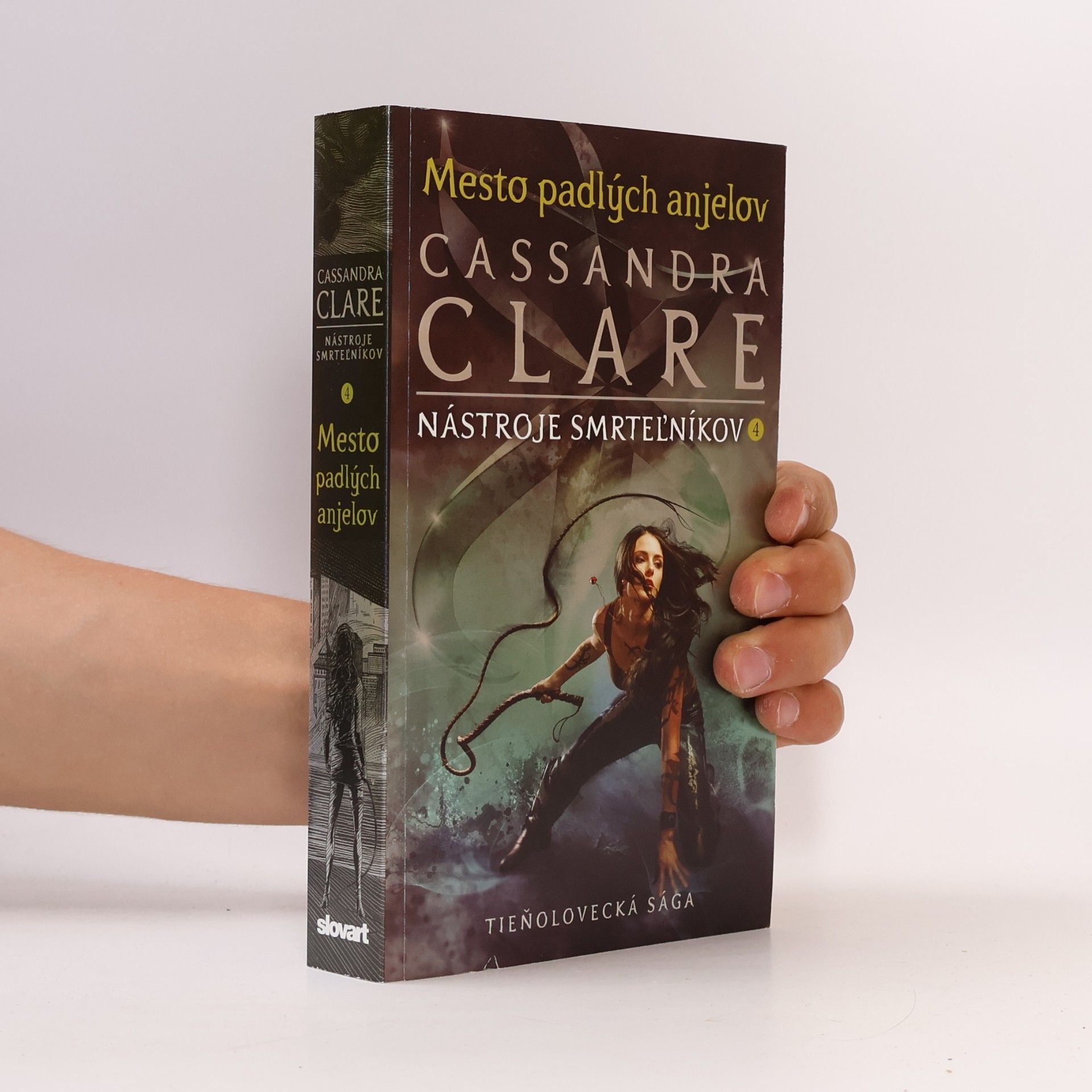 Cassandra Clare Mesto padlých anjelov