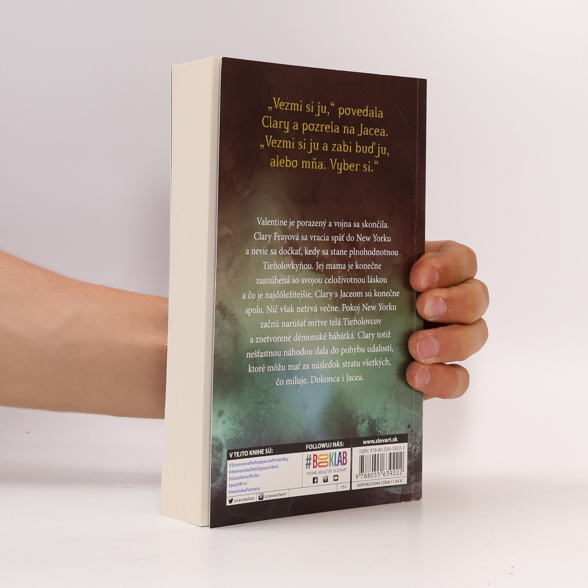 Cassandra Clare Mesto padlých anjelov