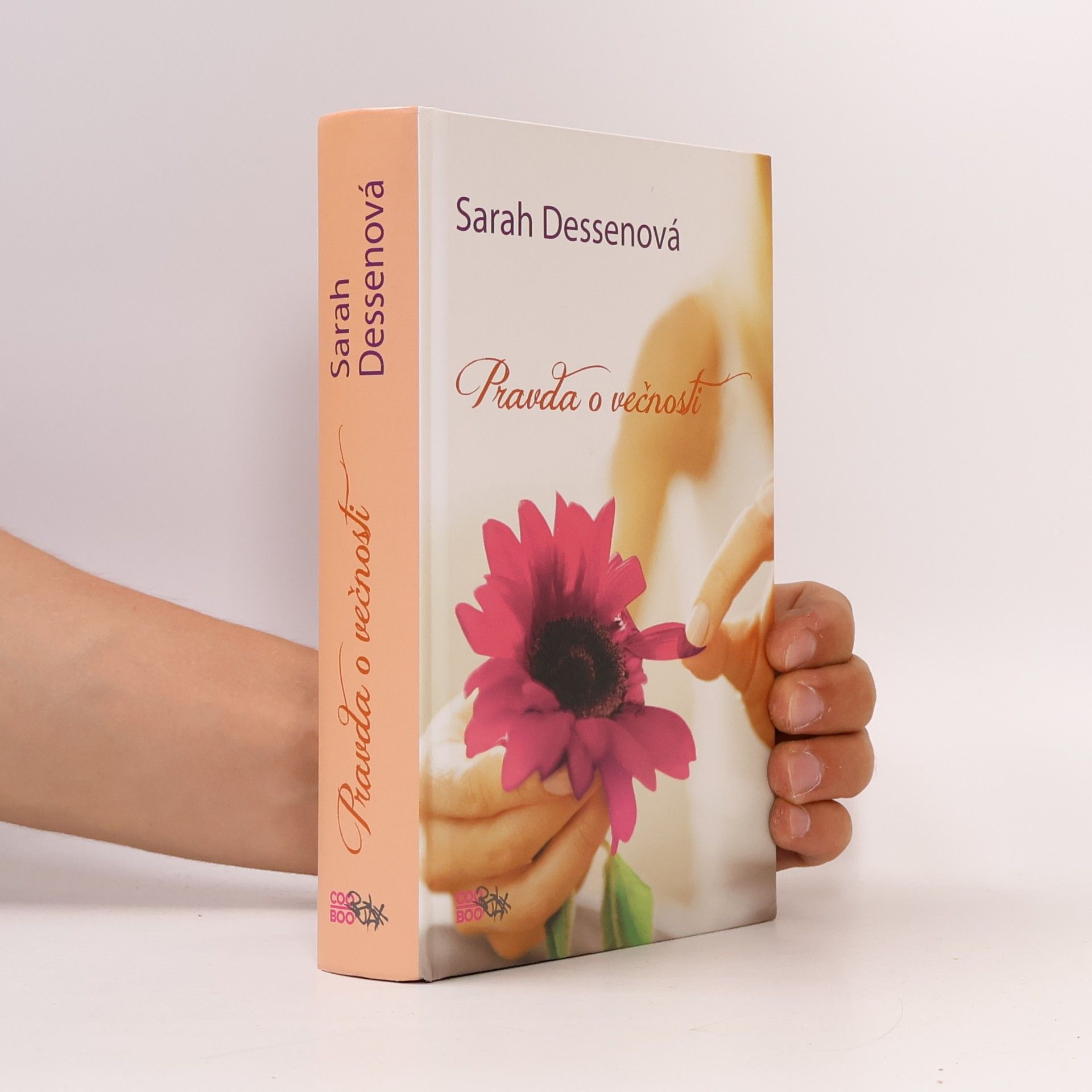 Sarah Dessen Pravda o večnosti