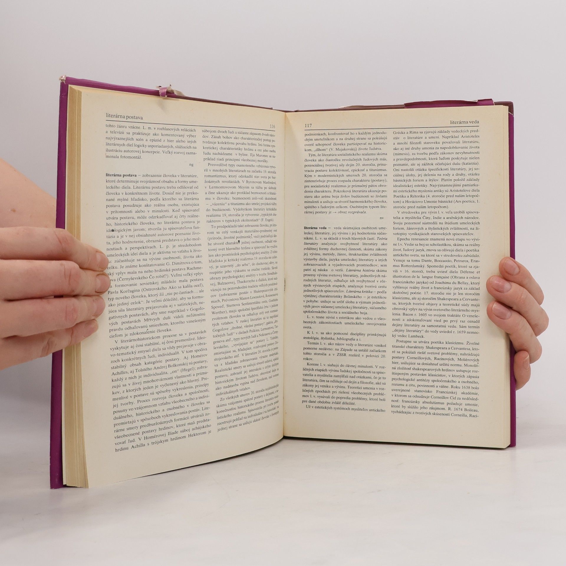 Kolektiv autorů Slovník literárnovedných termínov