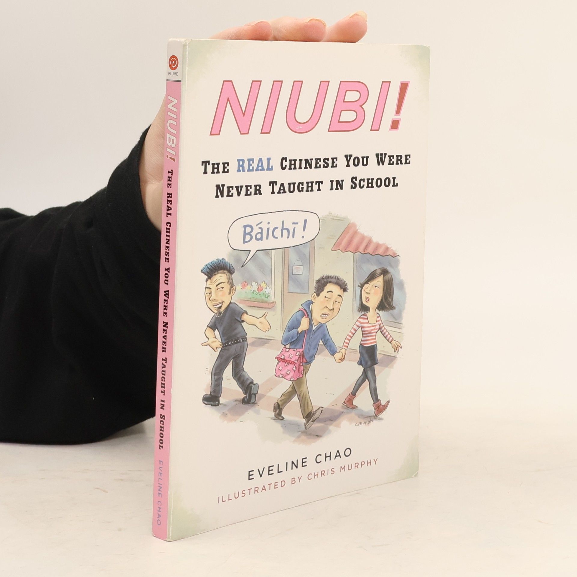 Eveline Chao Niubi!: The Real Chinese You Were Never Taught in School