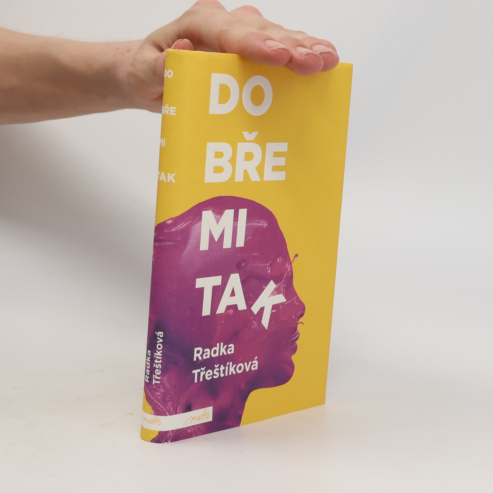Radka Třeštíková Dobře mi tak