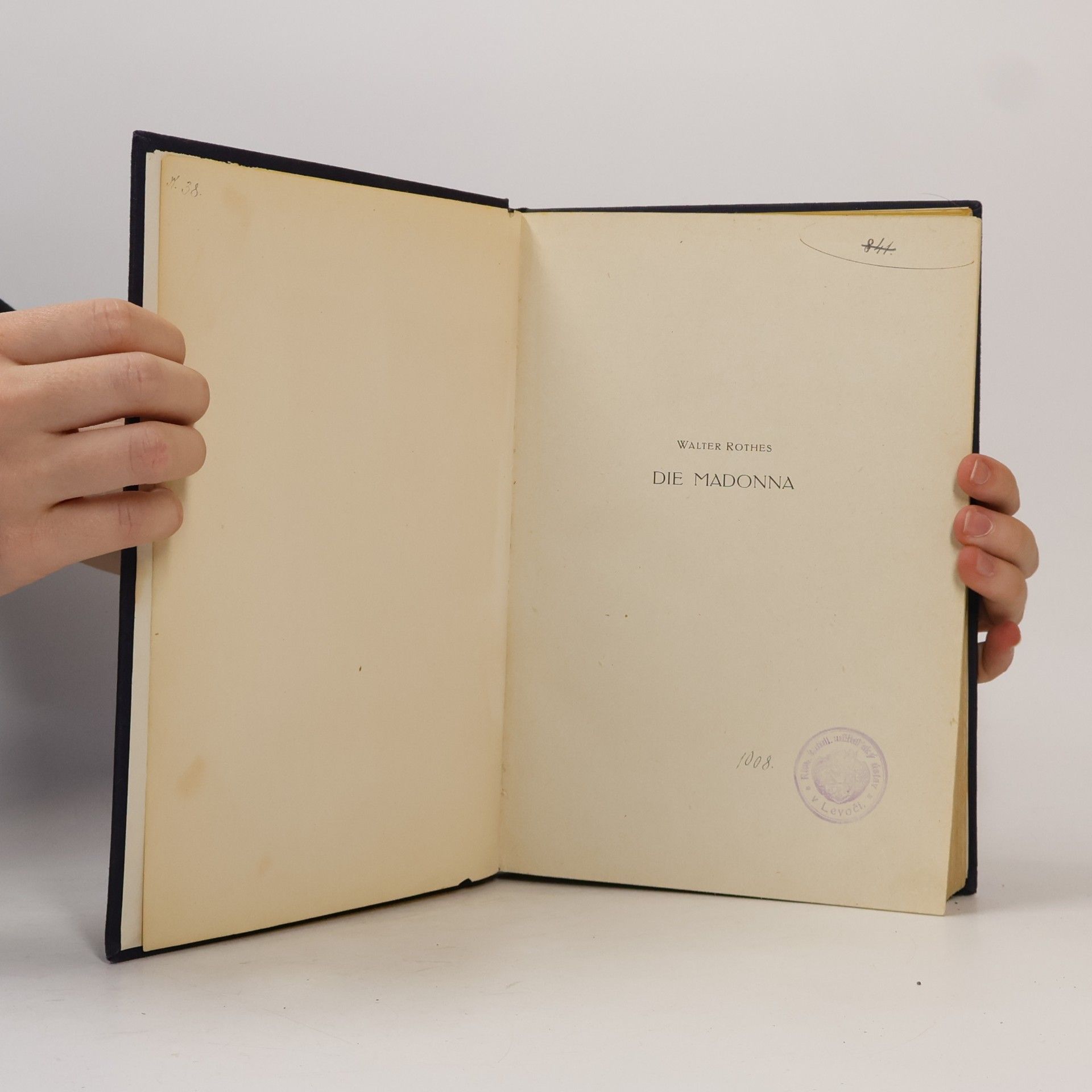 Walter Rothes Die Madonna in ihrer Verherrlichung durch die bildende Kunst aller Jahrhunderte