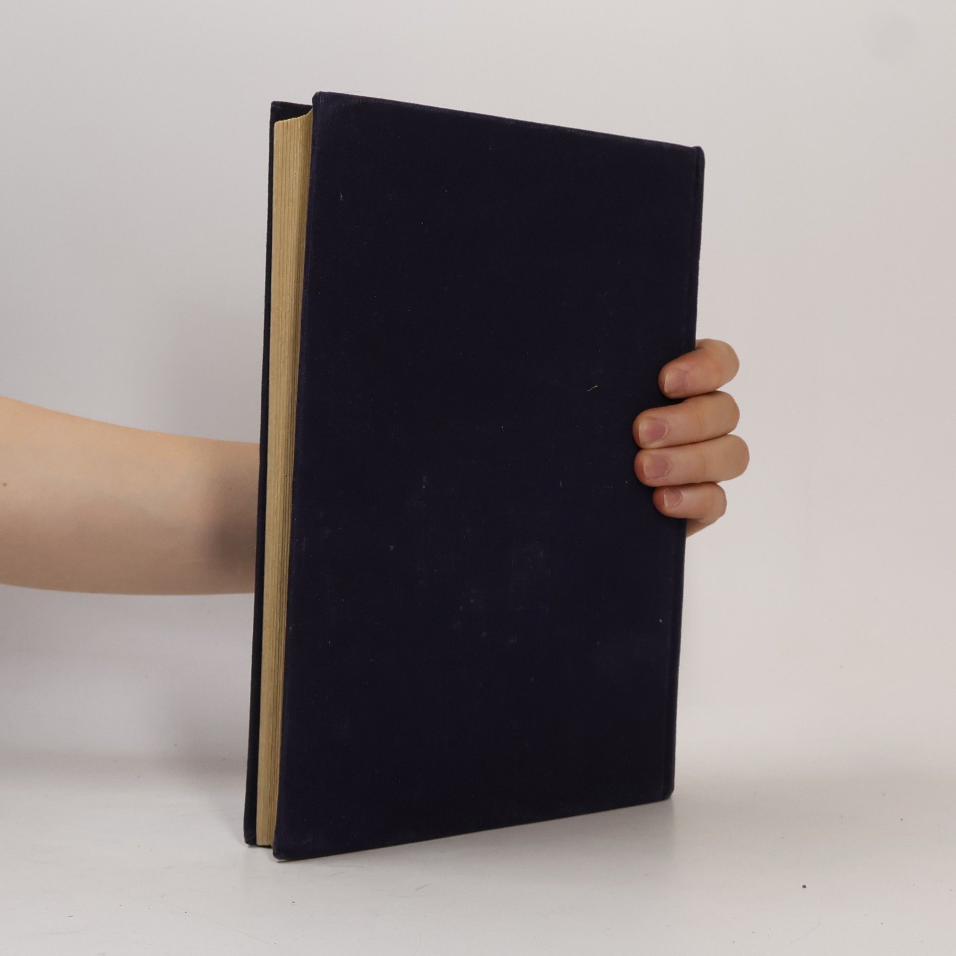 Walter Rothes Die Madonna in ihrer Verherrlichung durch die bildende Kunst aller Jahrhunderte