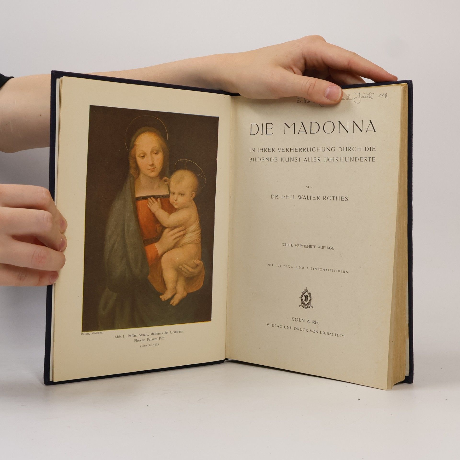 Walter Rothes Die Madonna in ihrer Verherrlichung durch die bildende Kunst aller Jahrhunderte