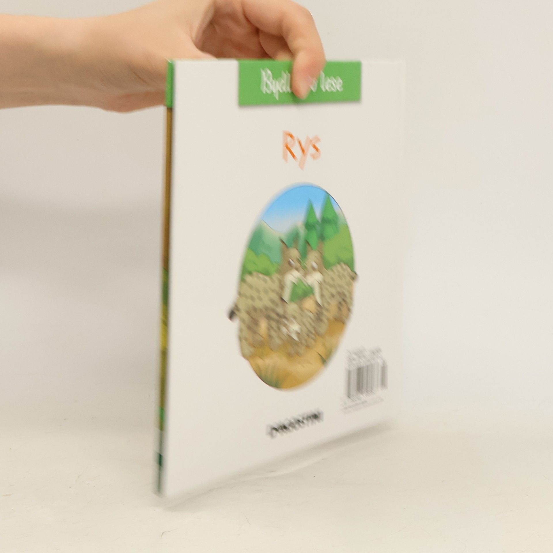 Autorenkollektiv Bydlím v lese 14. Rys