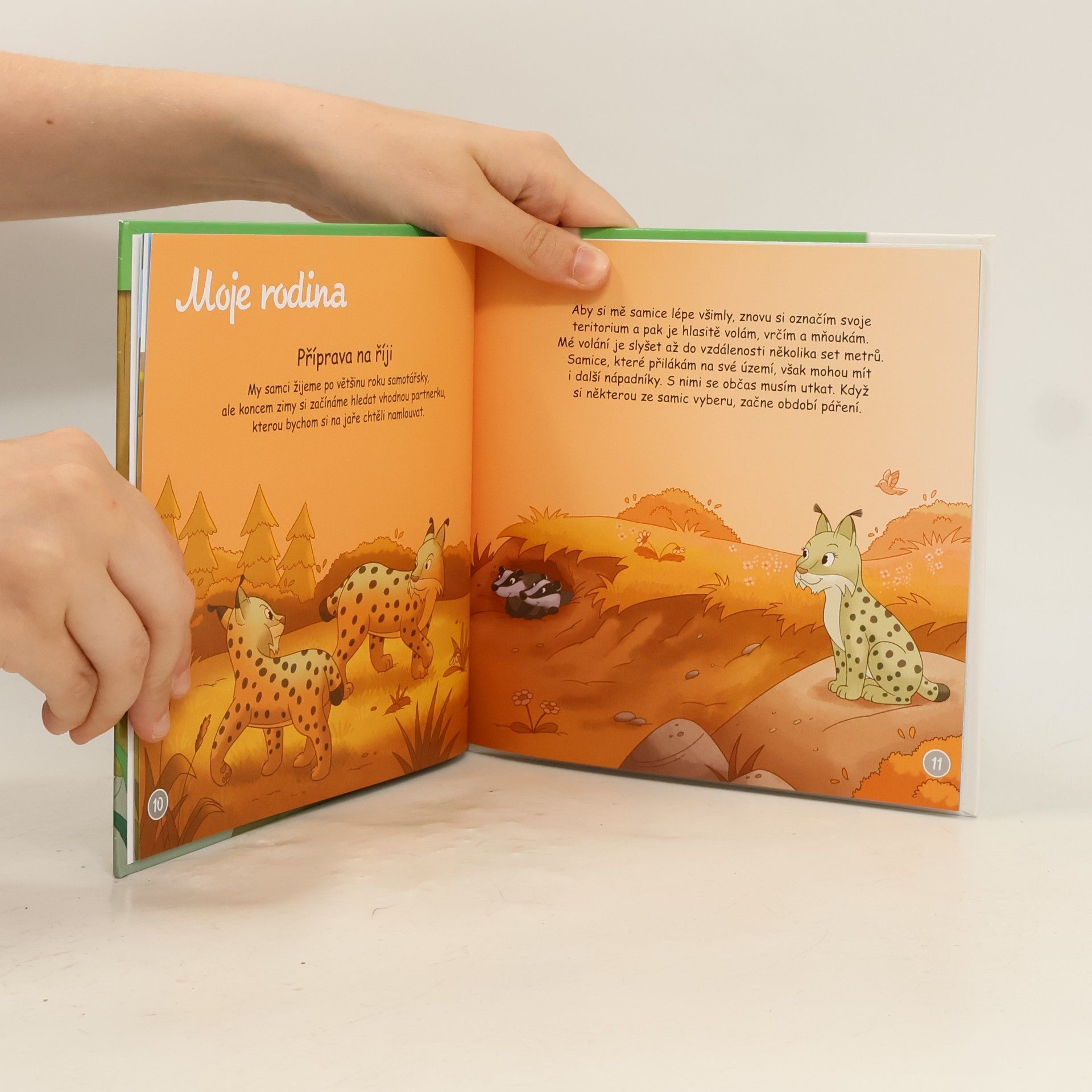Autorenkollektiv Bydlím v lese 14. Rys