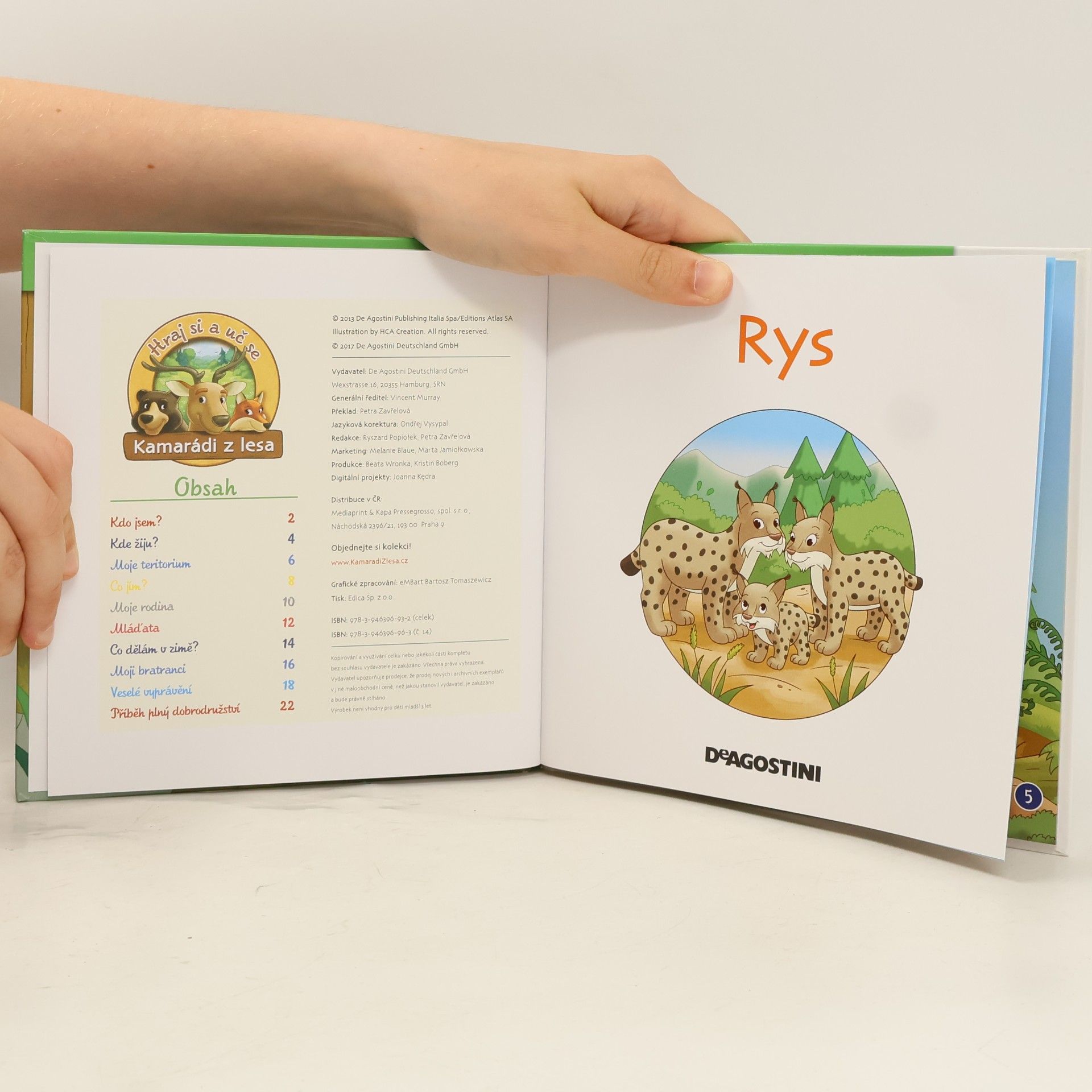 Autorenkollektiv Bydlím v lese 14. Rys
