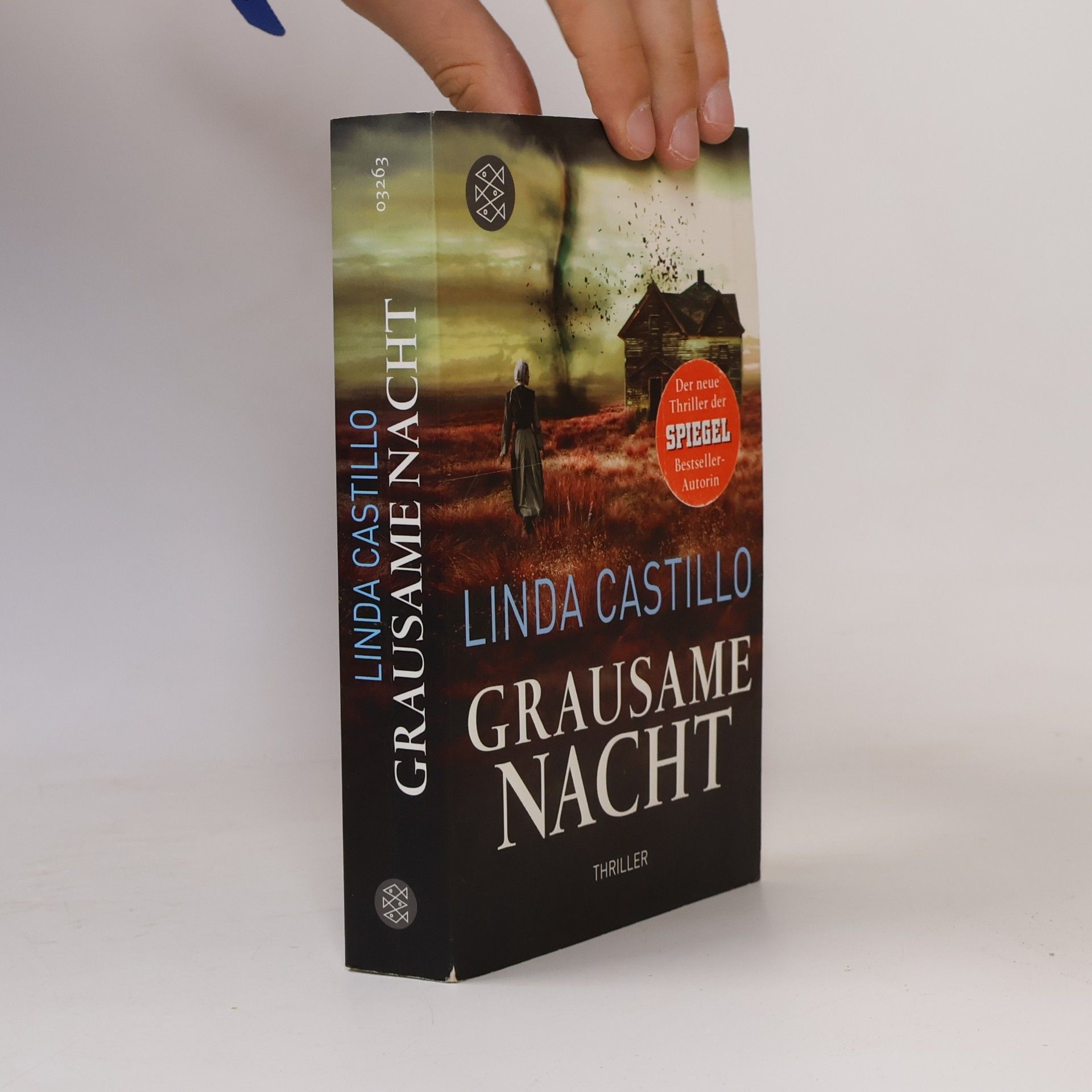 Linda Castillo Grausame Nacht