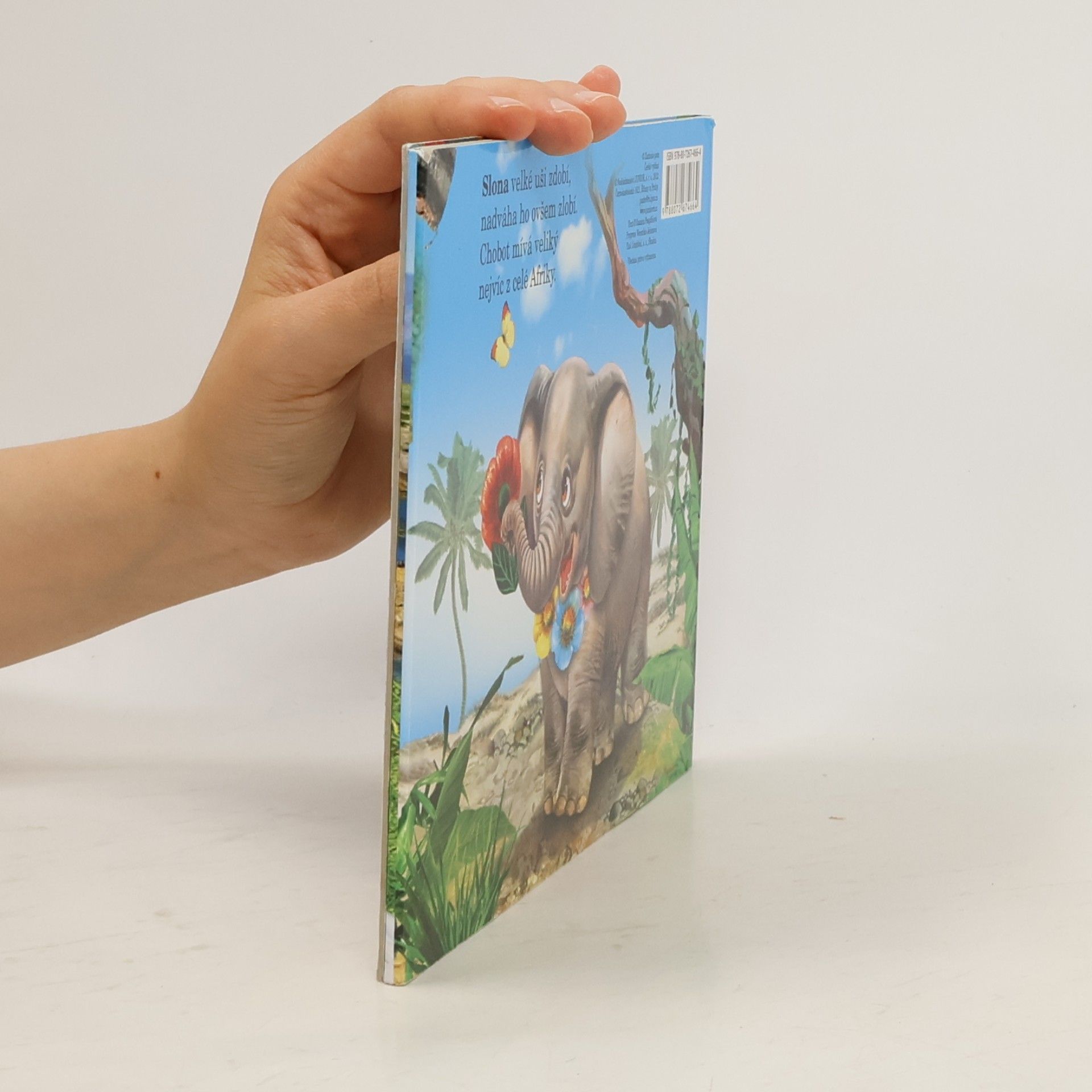 Autorenkollektiv Zvířátka v ZOO