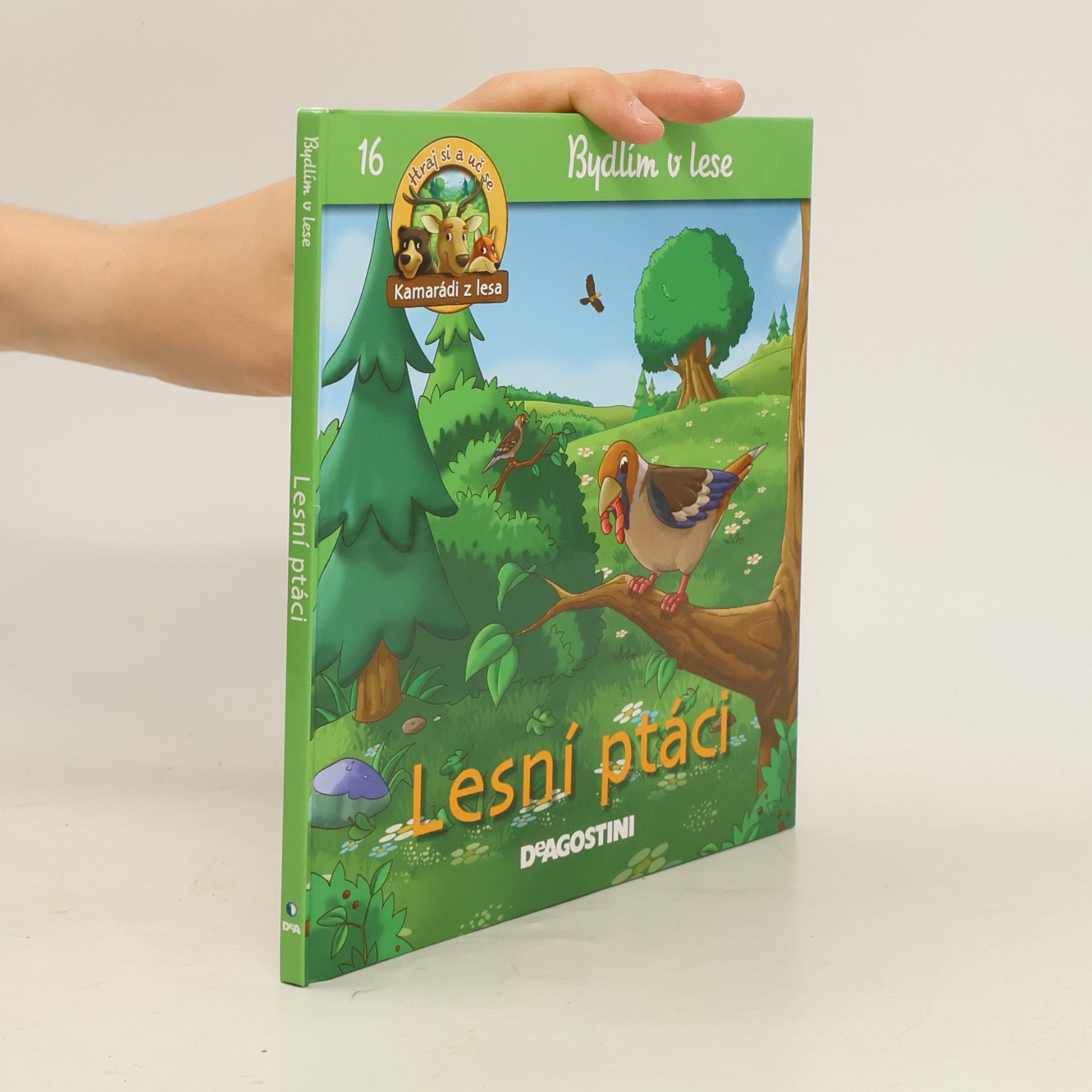 Petra Zavřelová Bydlím v lese 16. Lesní ptáci