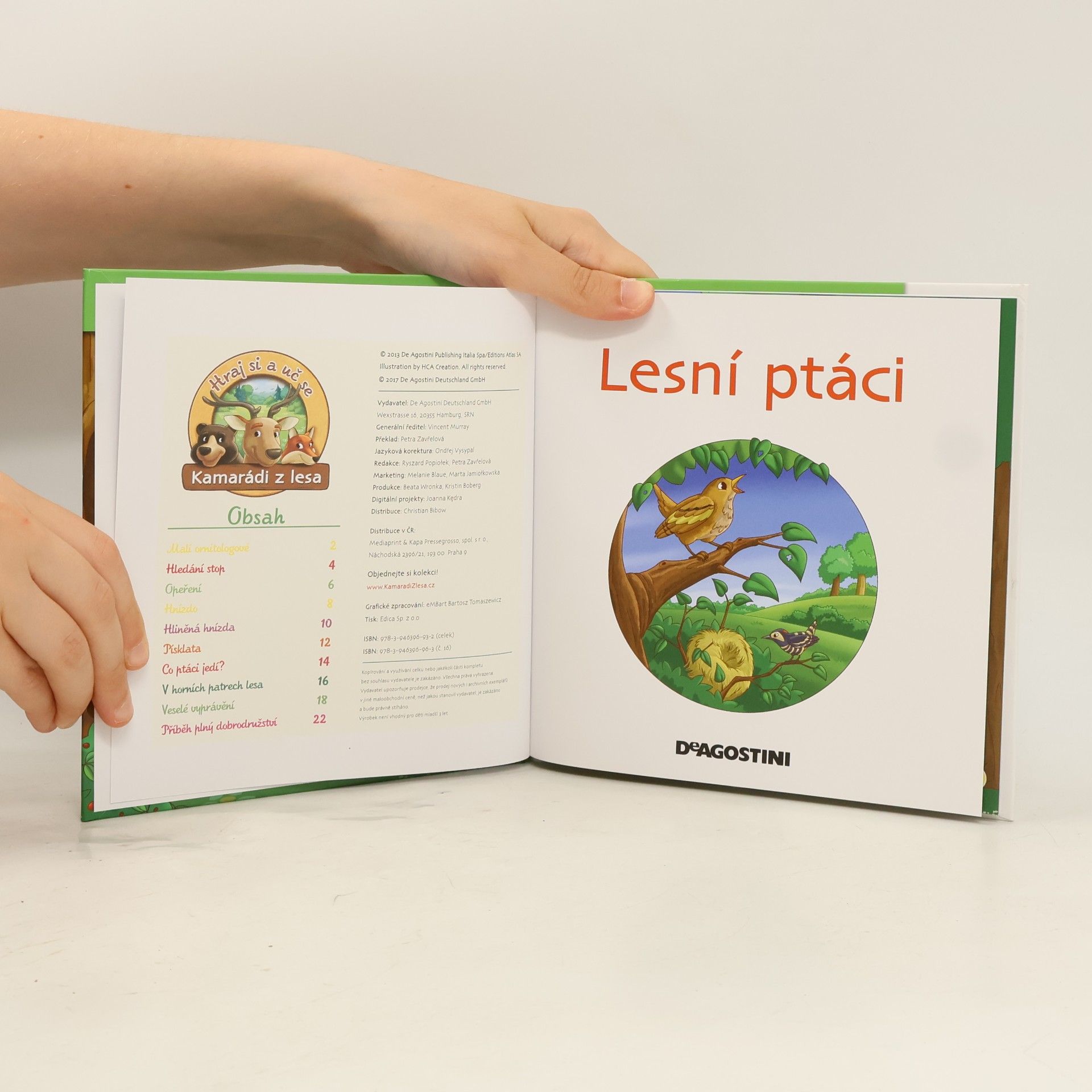 Petra Zavřelová Bydlím v lese 16. Lesní ptáci