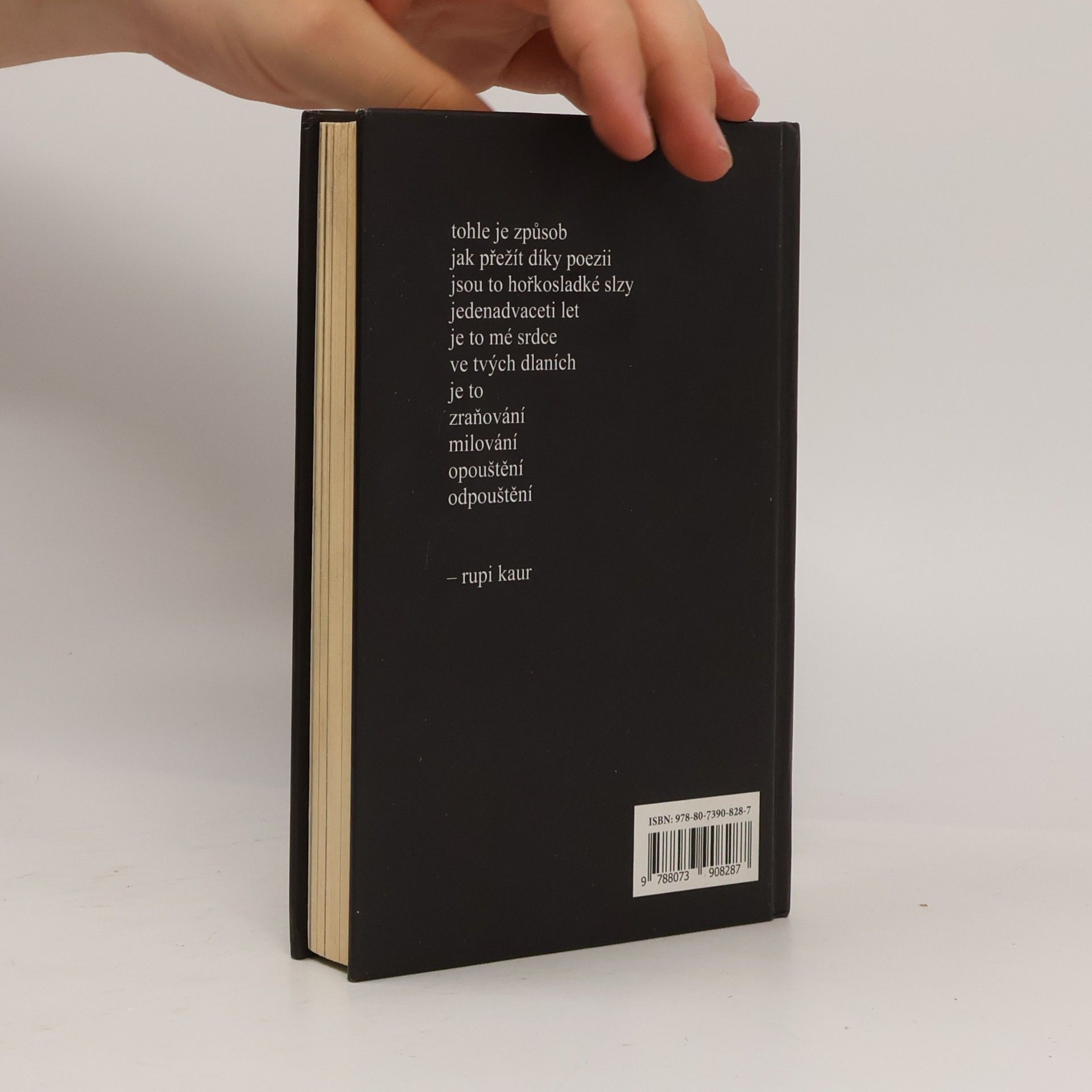 Rupi Kaur Mléko a med