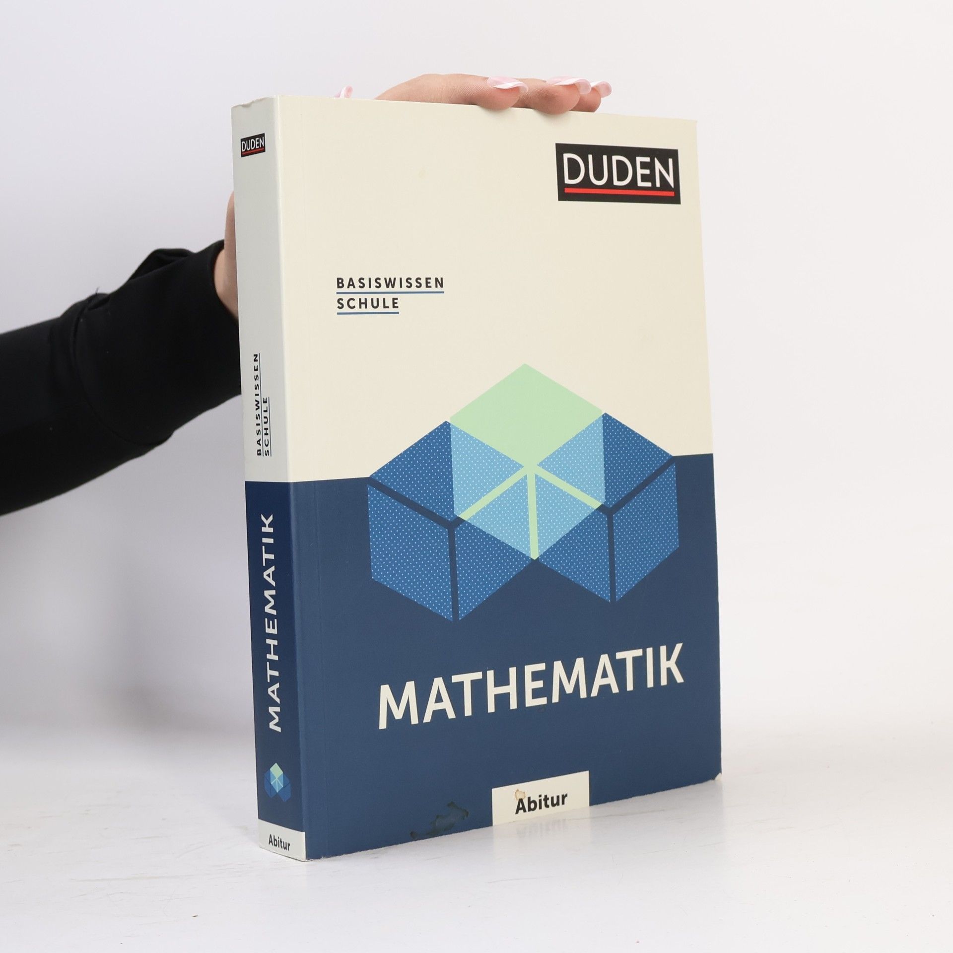 Karl Heinz Weber Basiswissen Schule - Mathematik Abitur