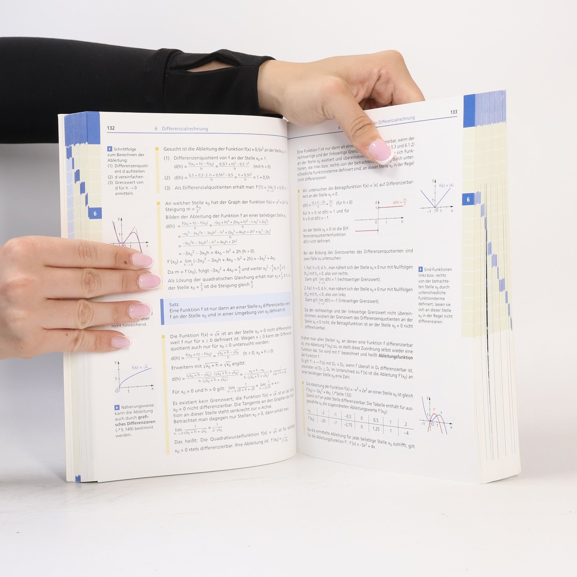 Karl Heinz Weber Basiswissen Schule - Mathematik Abitur