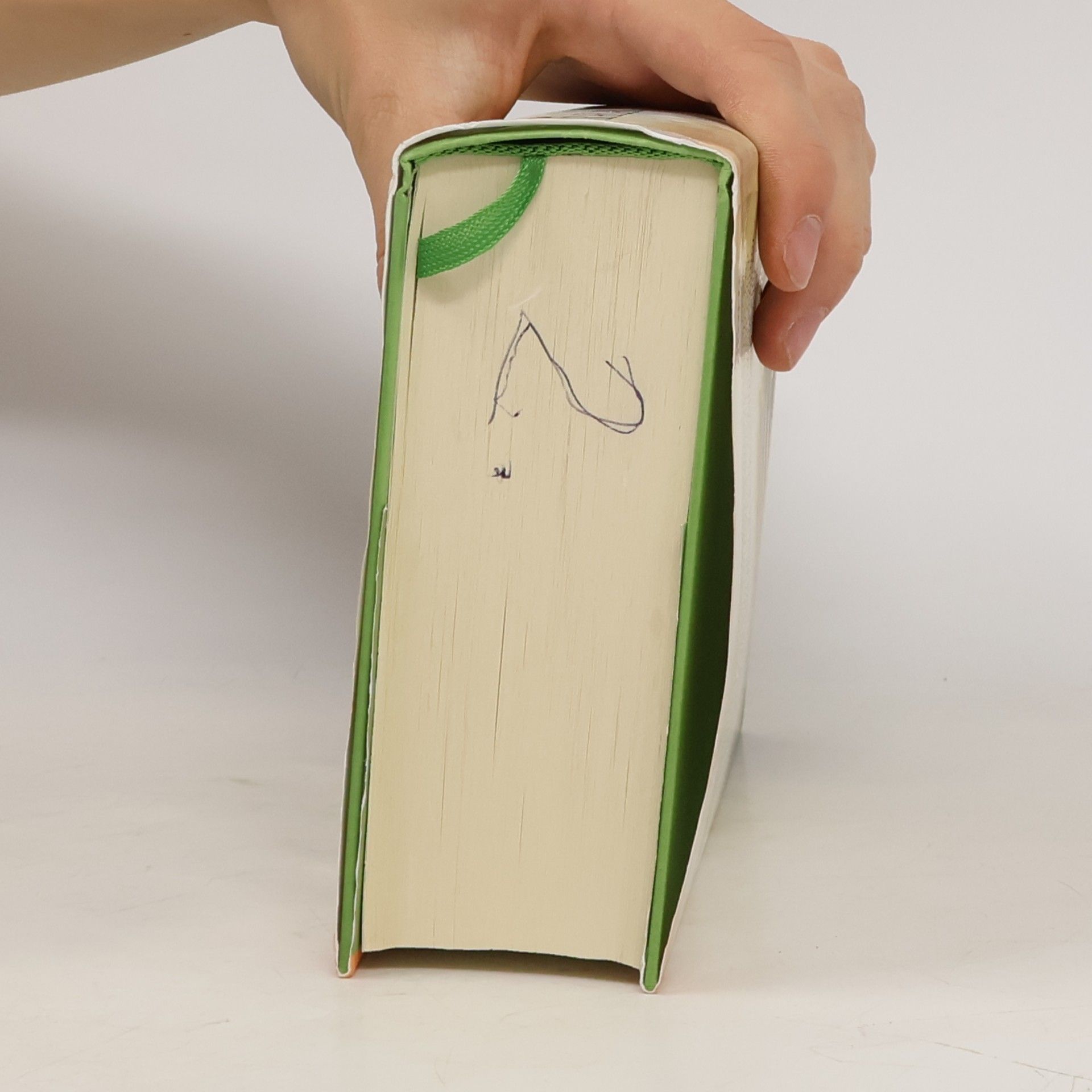 Christiane Gohl Der Klang des Muschelhorns