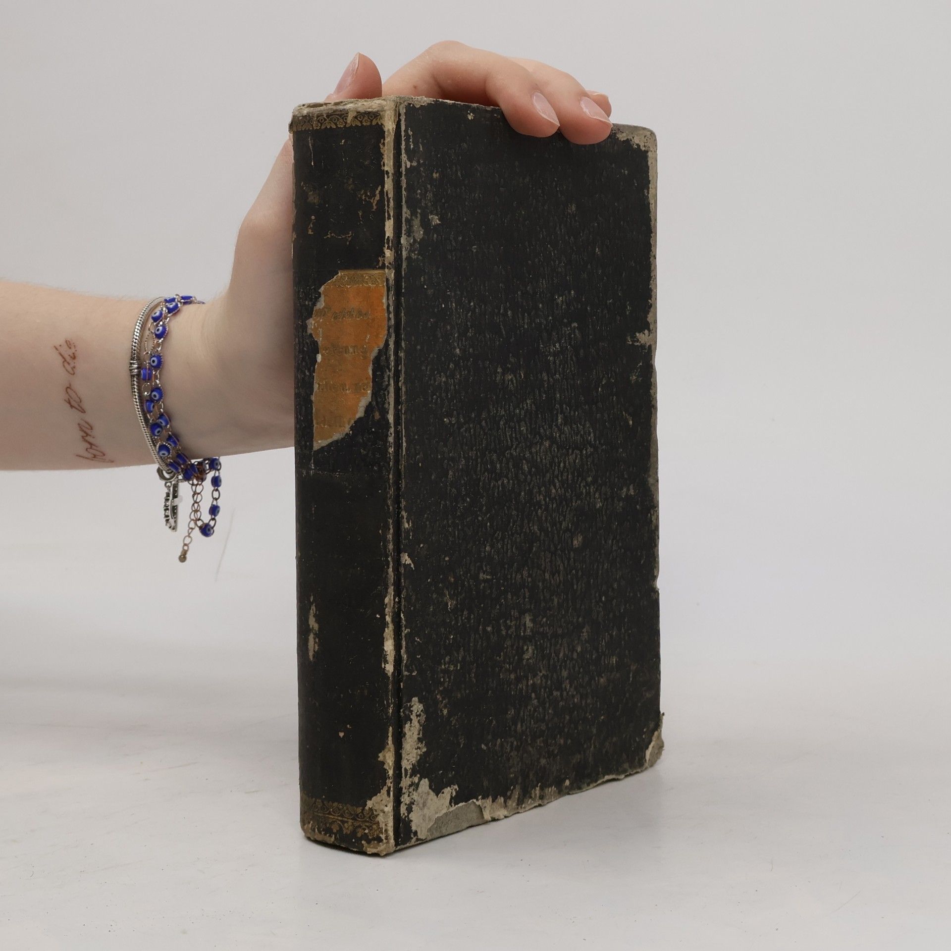 Lehrbuch der historisch-kritischen Einleitung in die Bibel