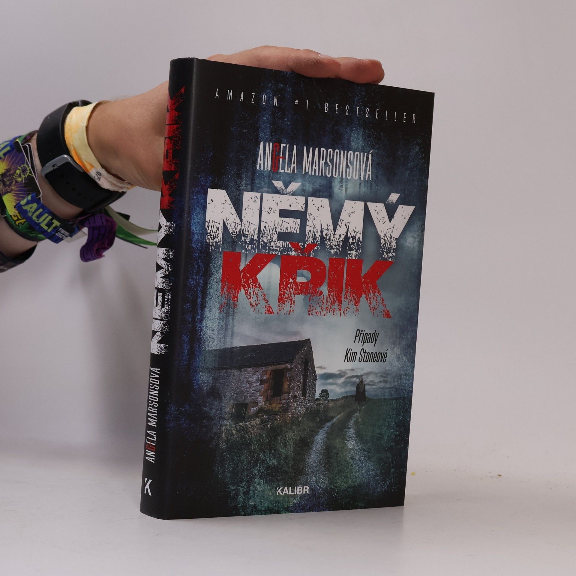 Angela Marsons Němý křik