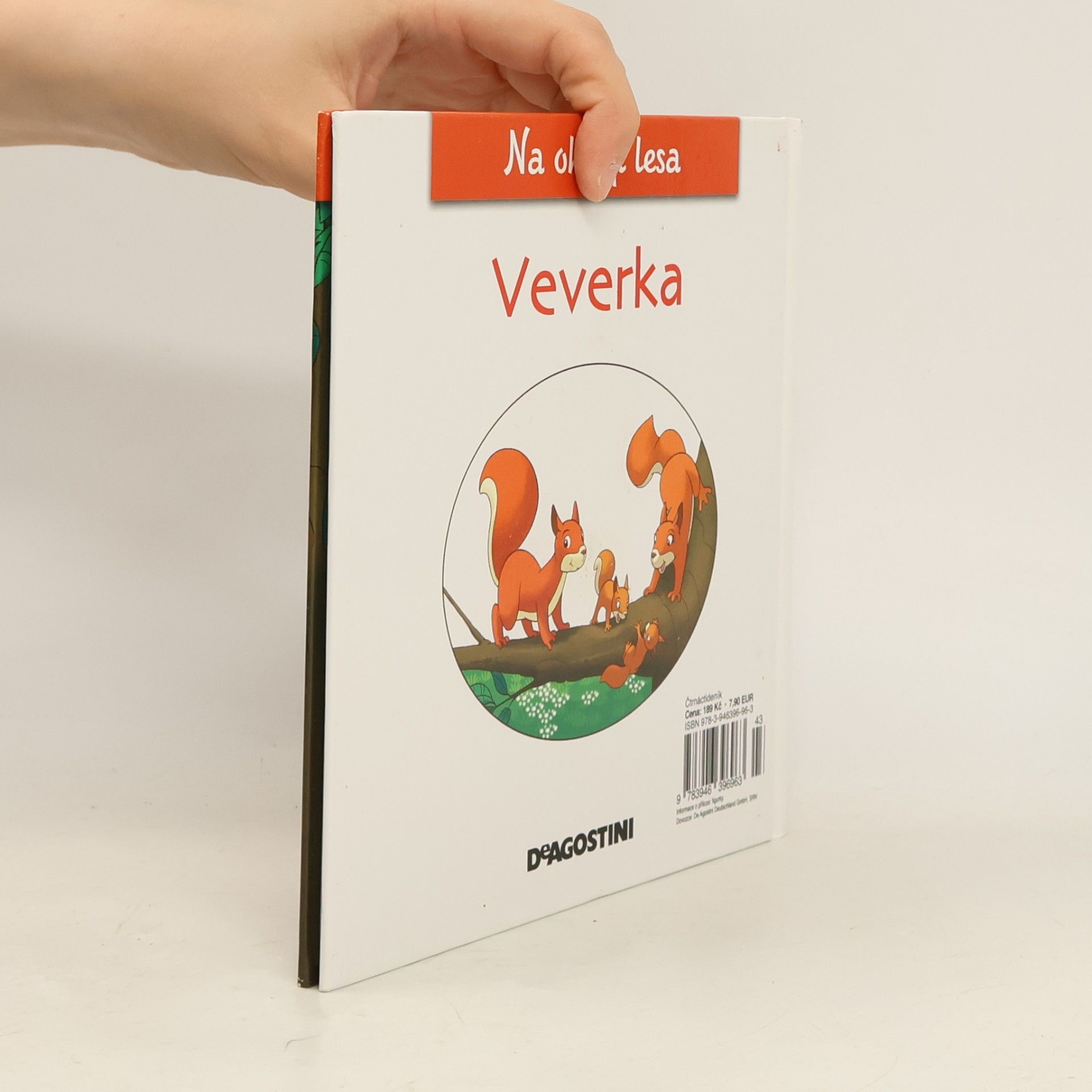 Kolektív autorov Na okraji lesa 5. Veverka