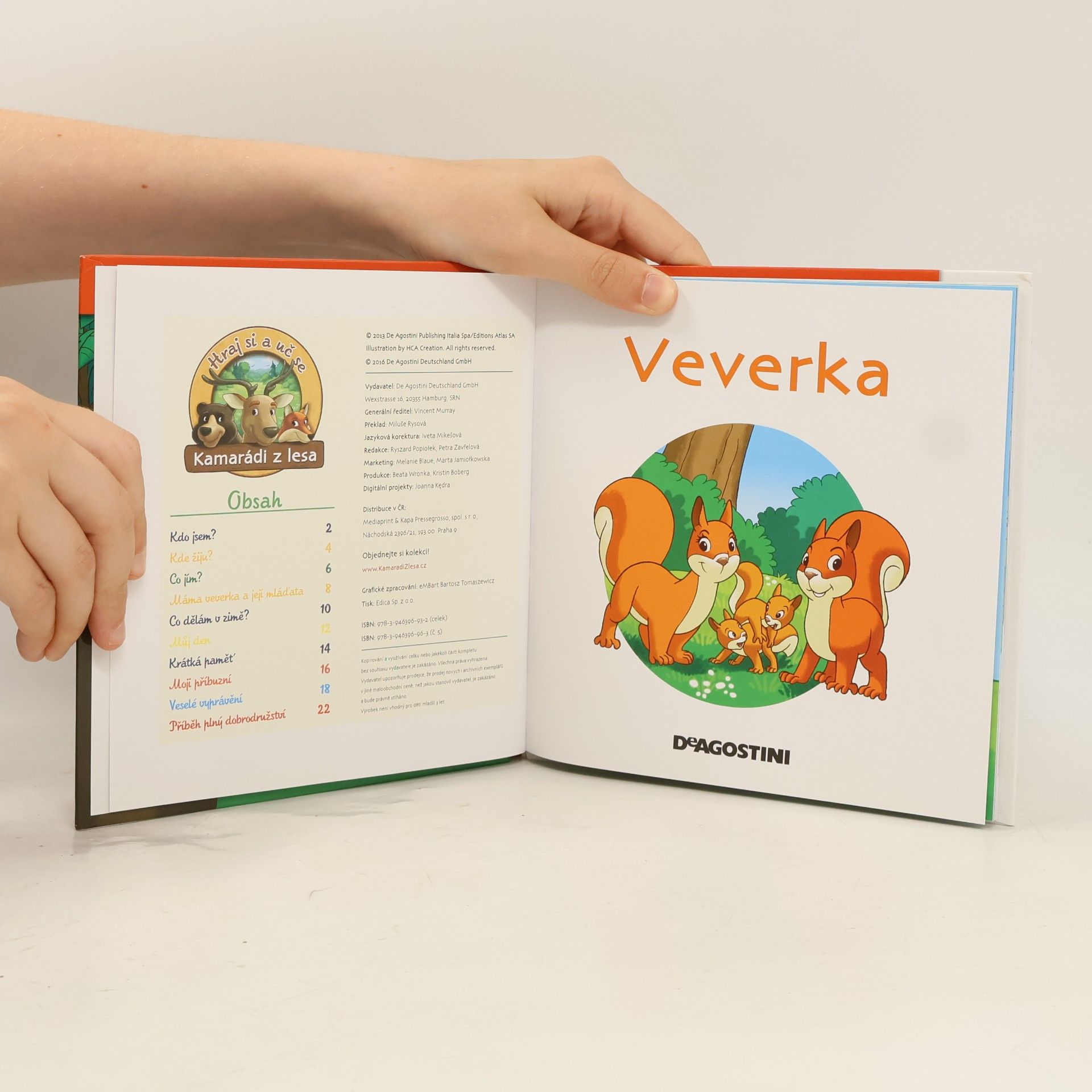 Kolektív autorov Na okraji lesa 5. Veverka