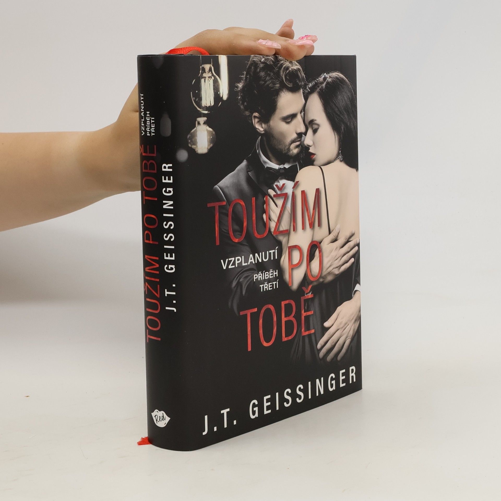 J. T. Geissinger Toužím po tobě
