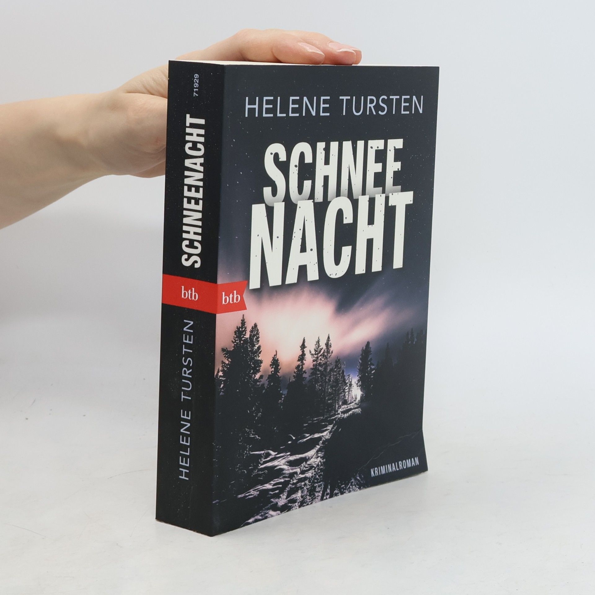 Helene Tursten Schneenacht