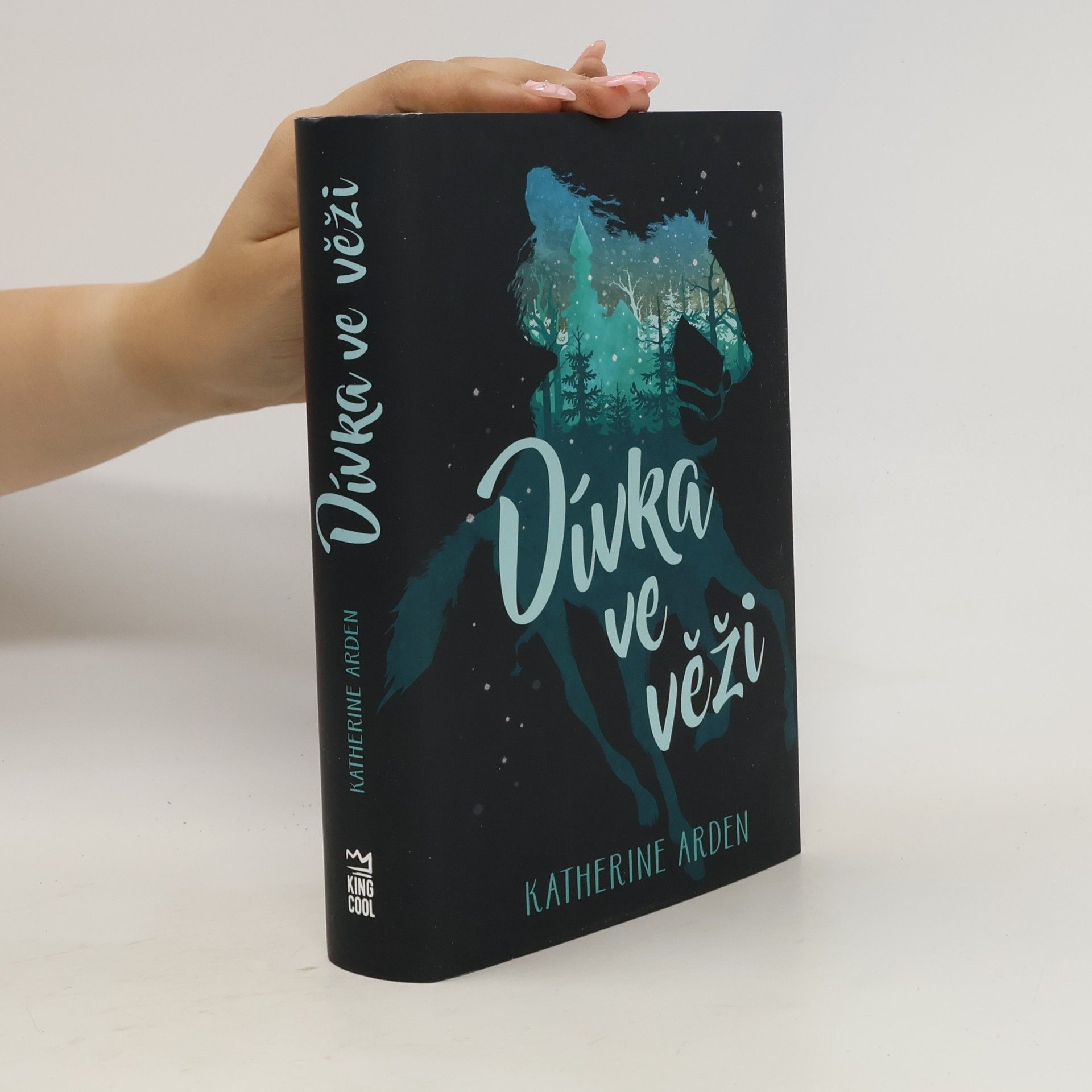 Dívka ve věži