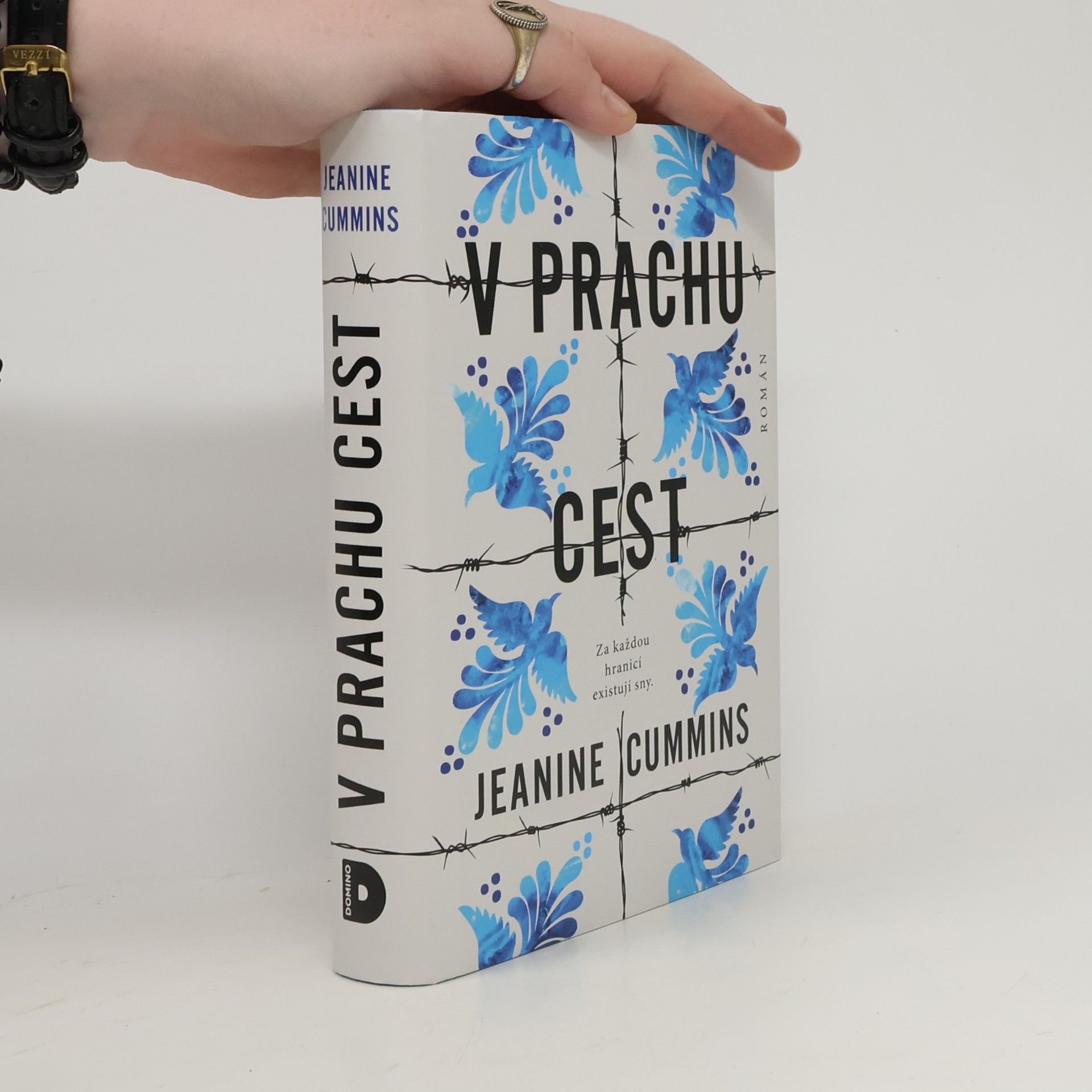 Jeanine Cummins V prachu cest