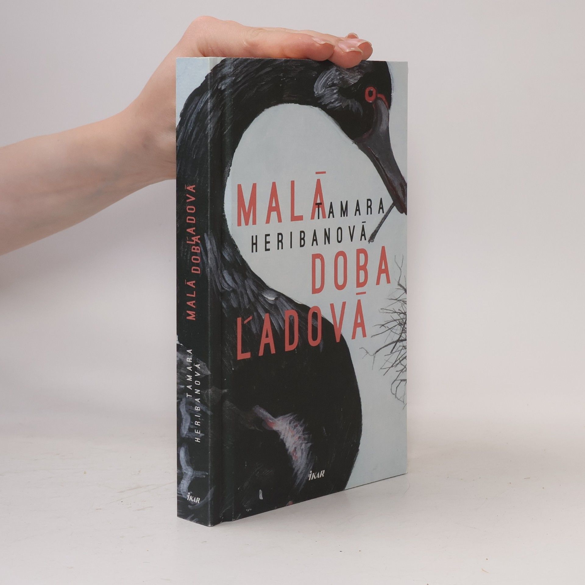 Tamara Heribanová Malá doba ľadová