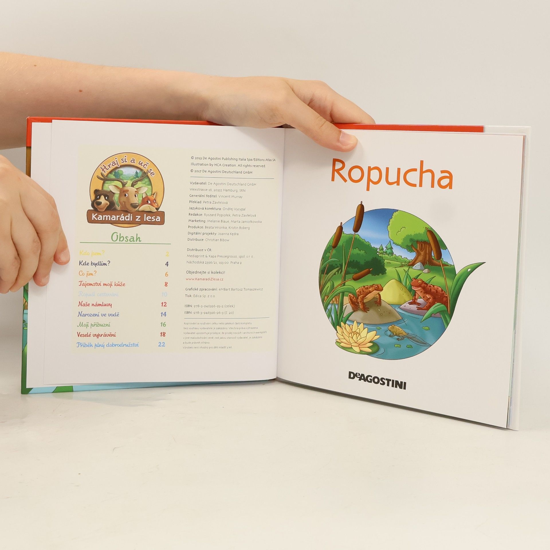 Autorenkollektiv Na okraji lesa 20. Ropucha