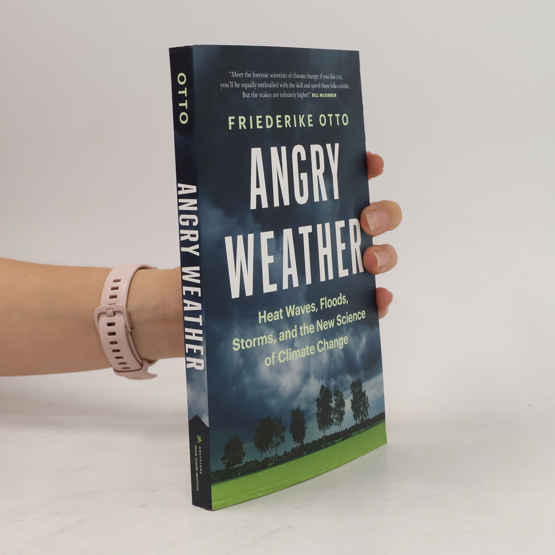 Friederike Otto Angry Weather