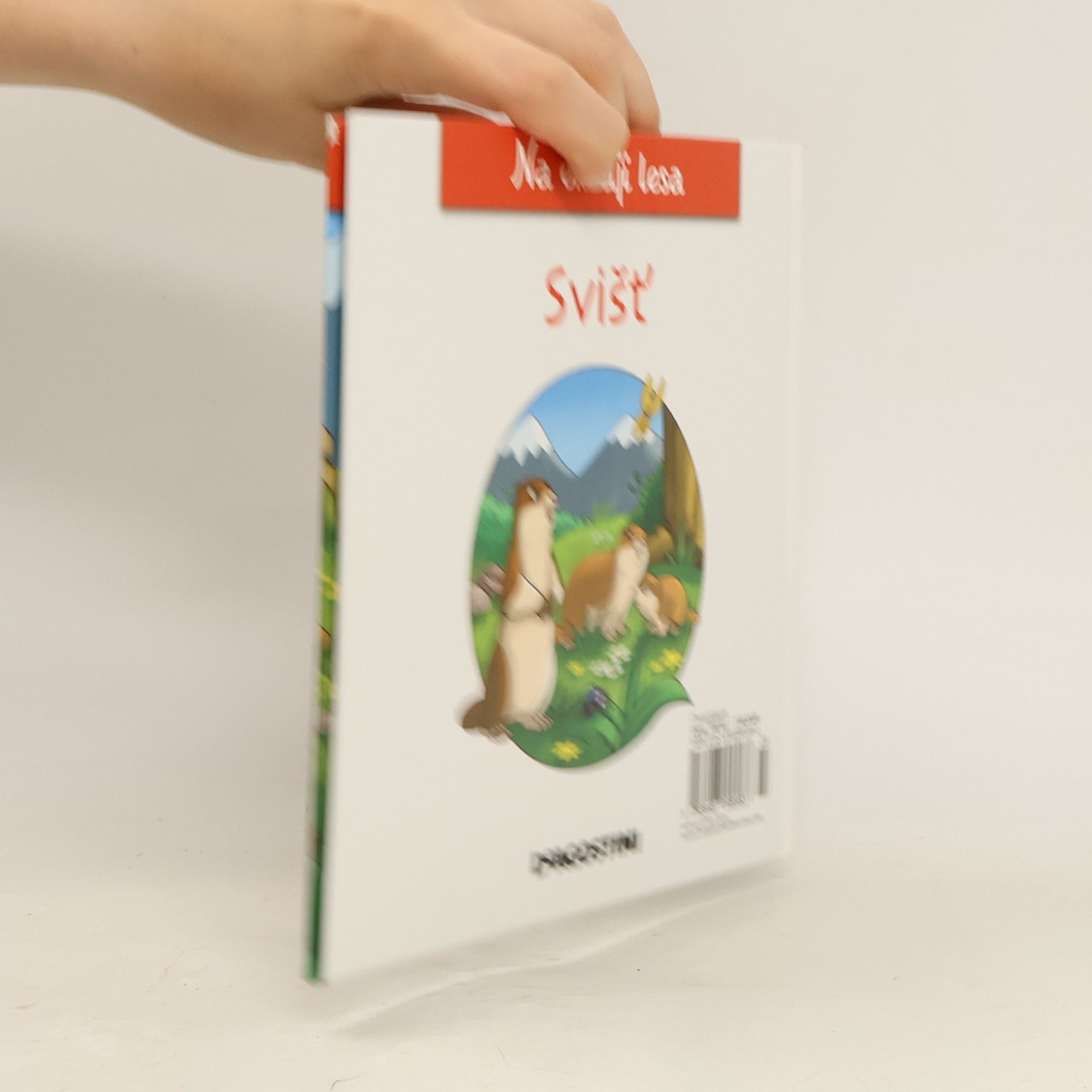 Autorenkollektiv Na okraji lesa 21. Svišť