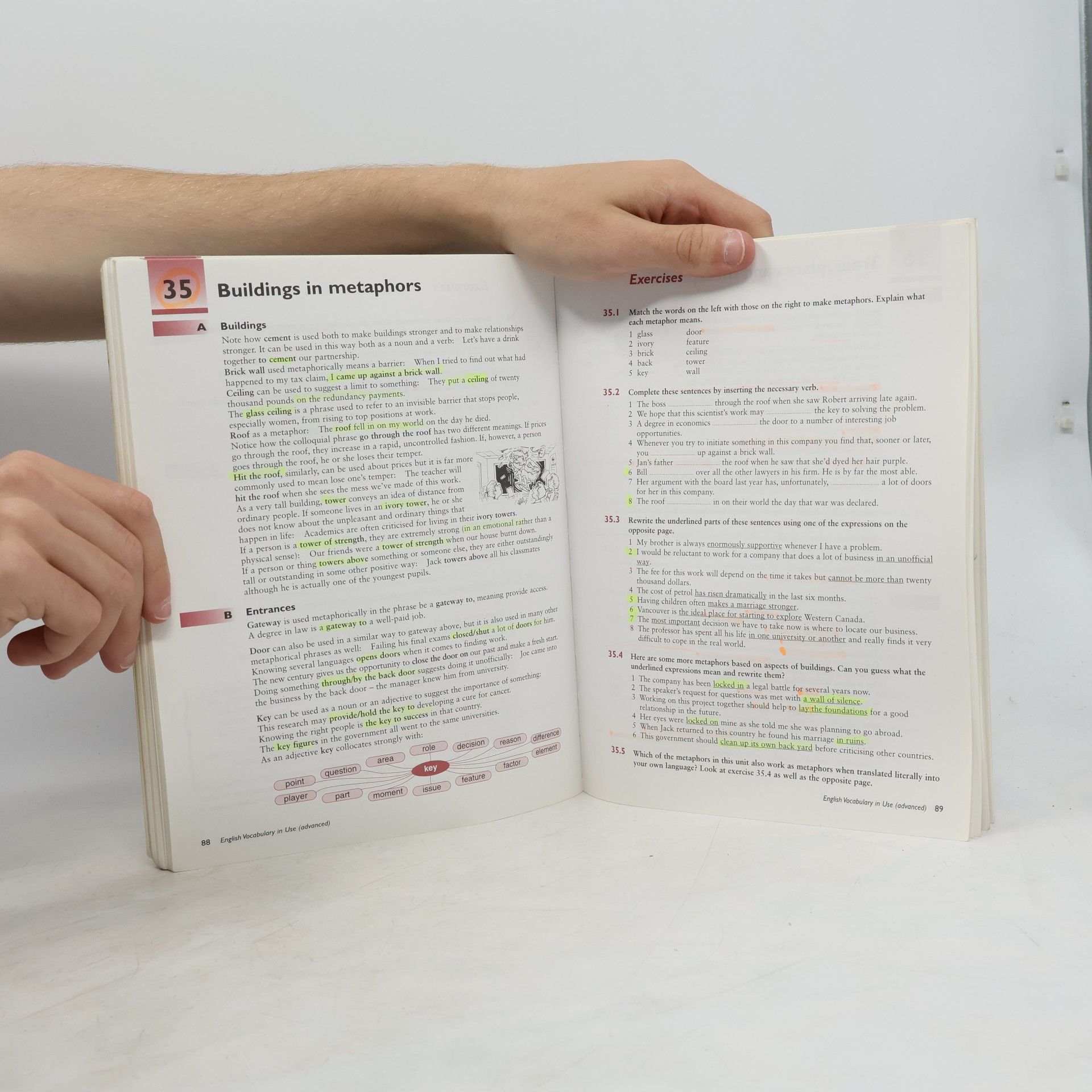 Michael McCarthy English Vocabulary in Use. Advanced