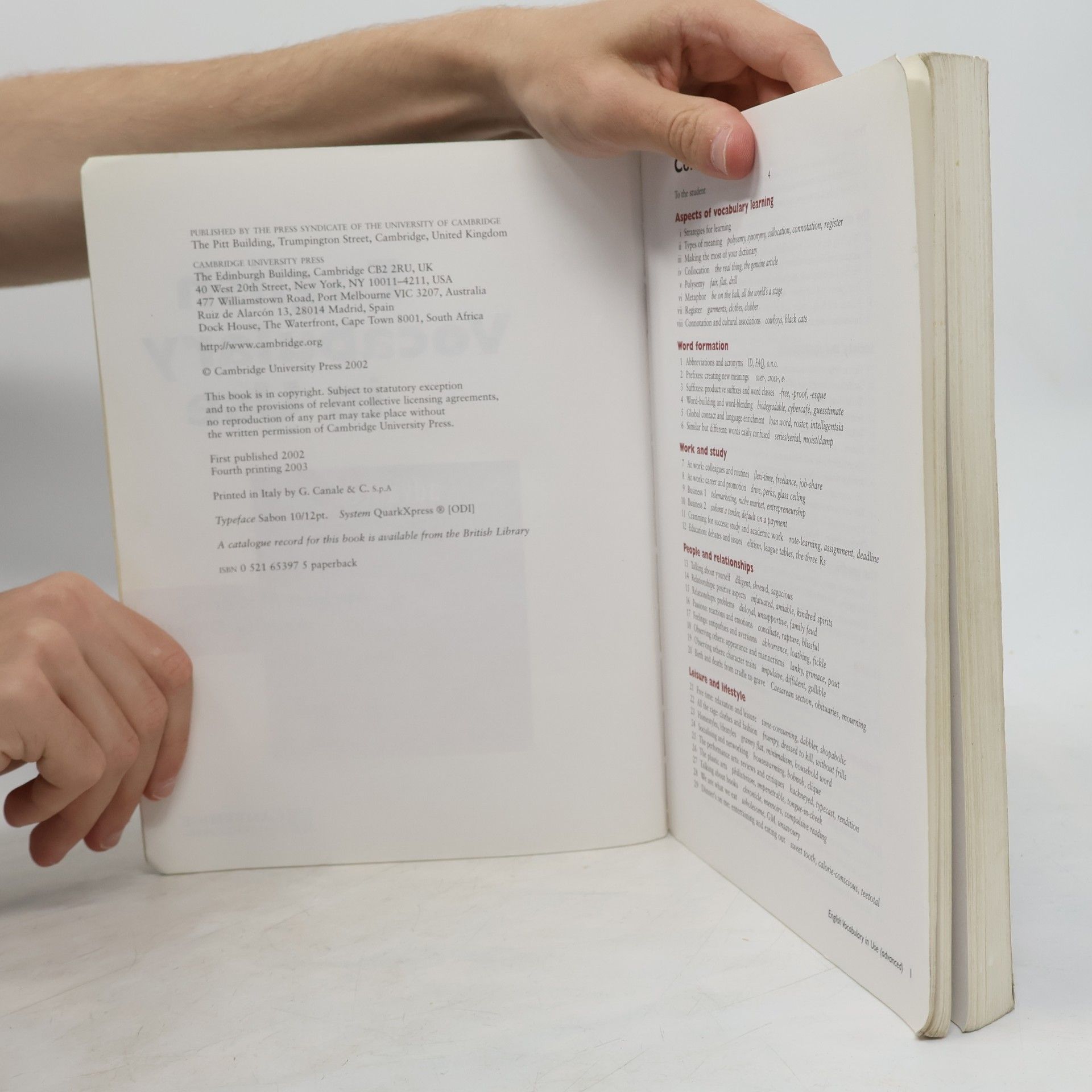 Michael McCarthy English Vocabulary in Use. Advanced