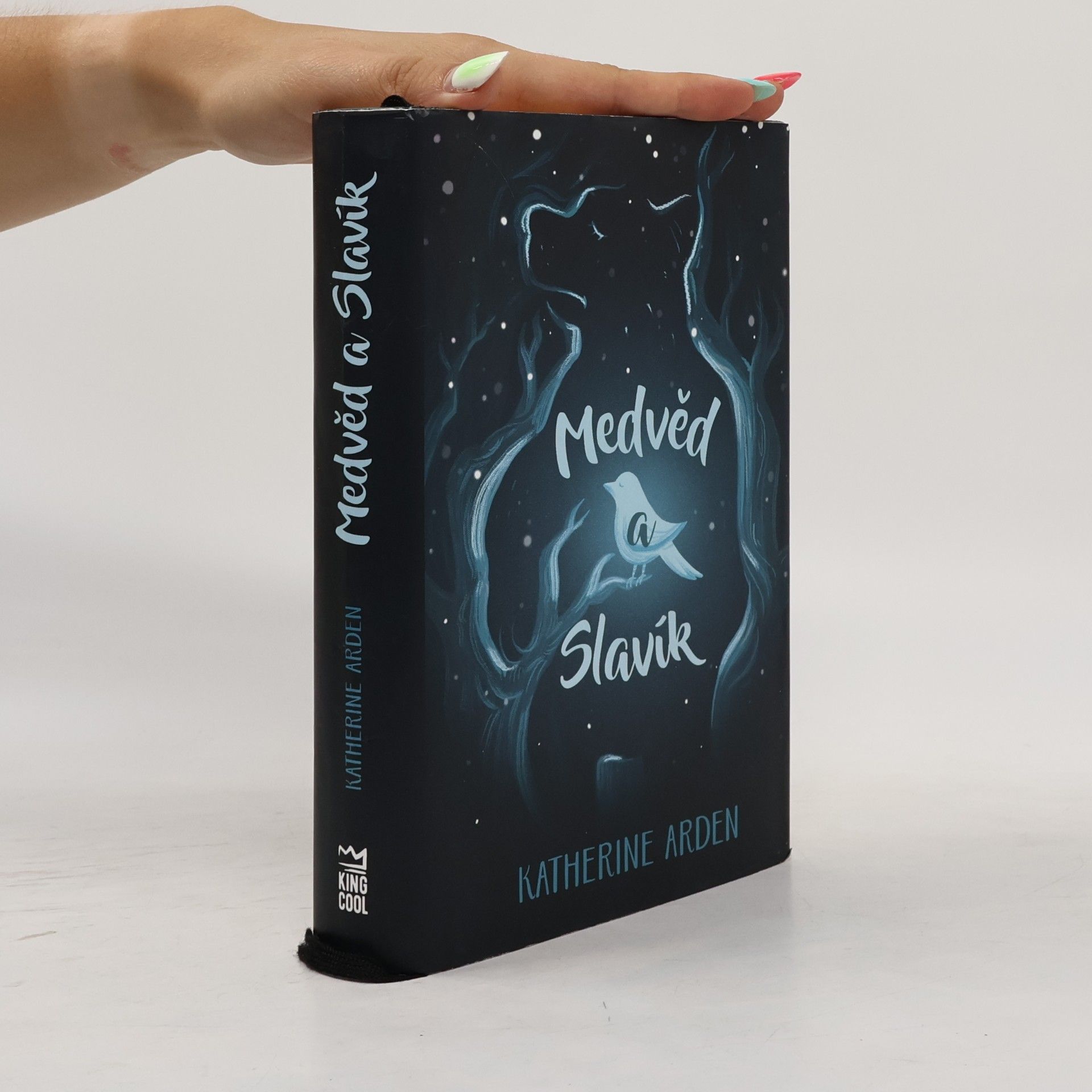 Katherine Arden Medvěd a Slavík