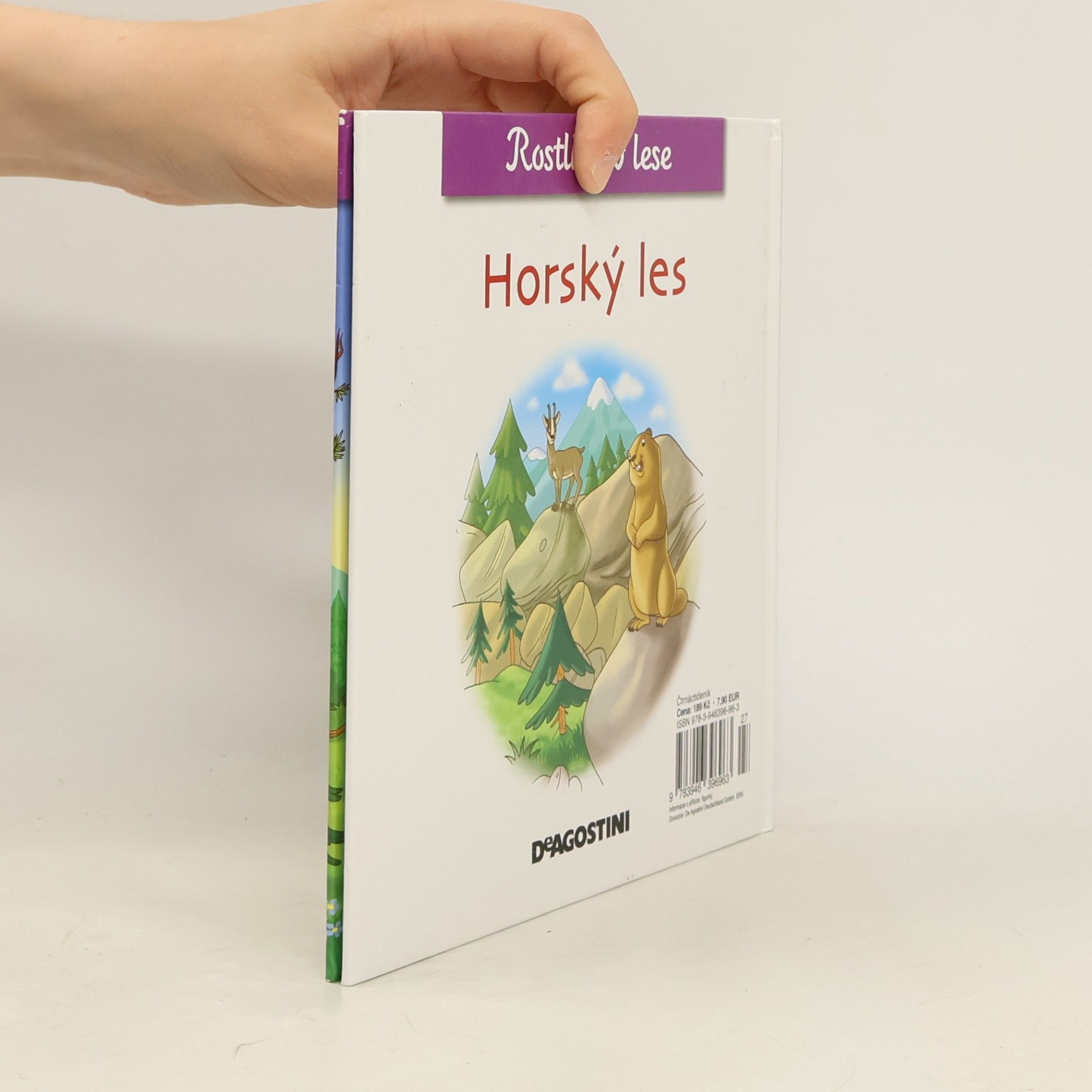 Various authors Rostliny v lese 23. Horský les