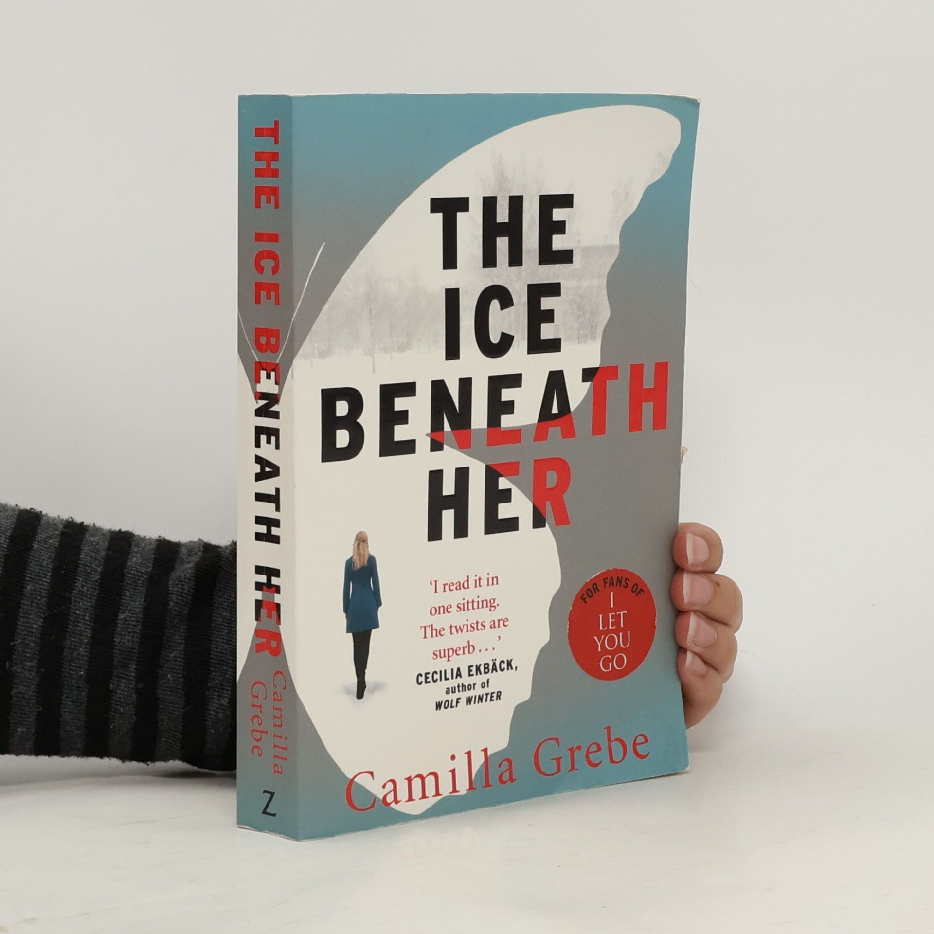 Camilla Grebe The Ice Beneath Her