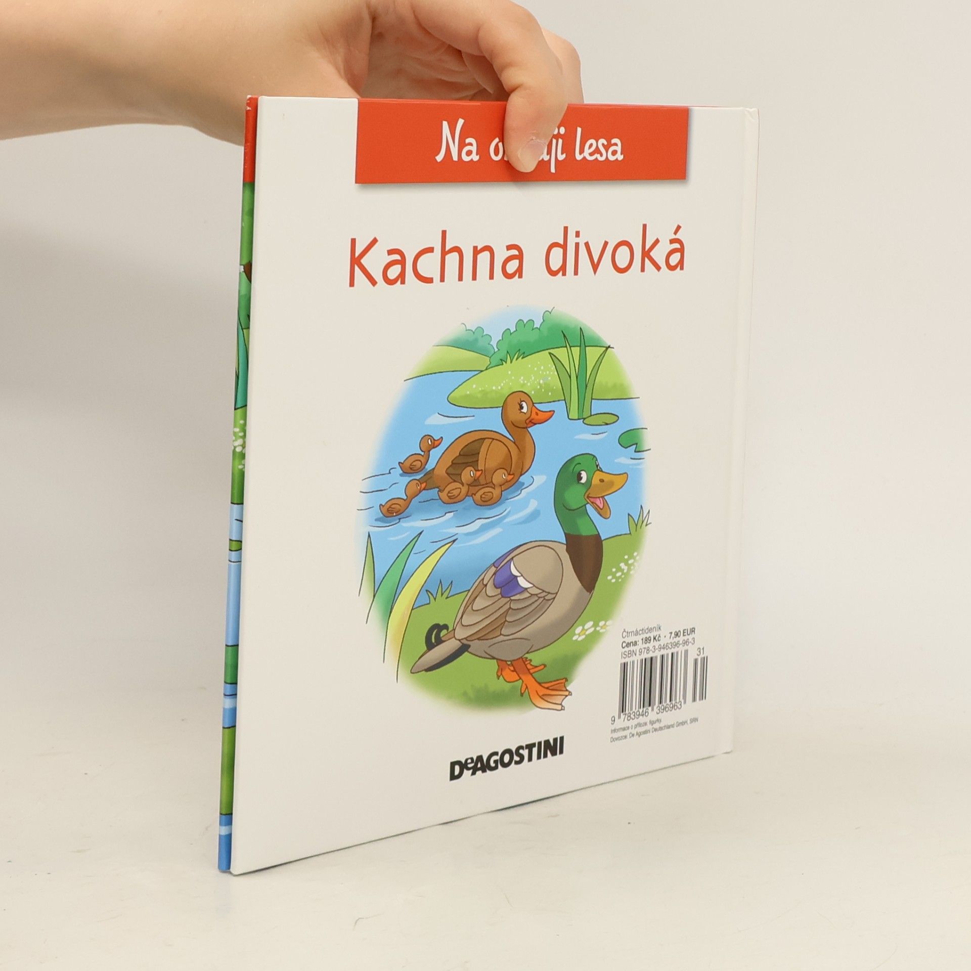 Kolektiv autorů Na okraji lesa 25. Kachna divoká