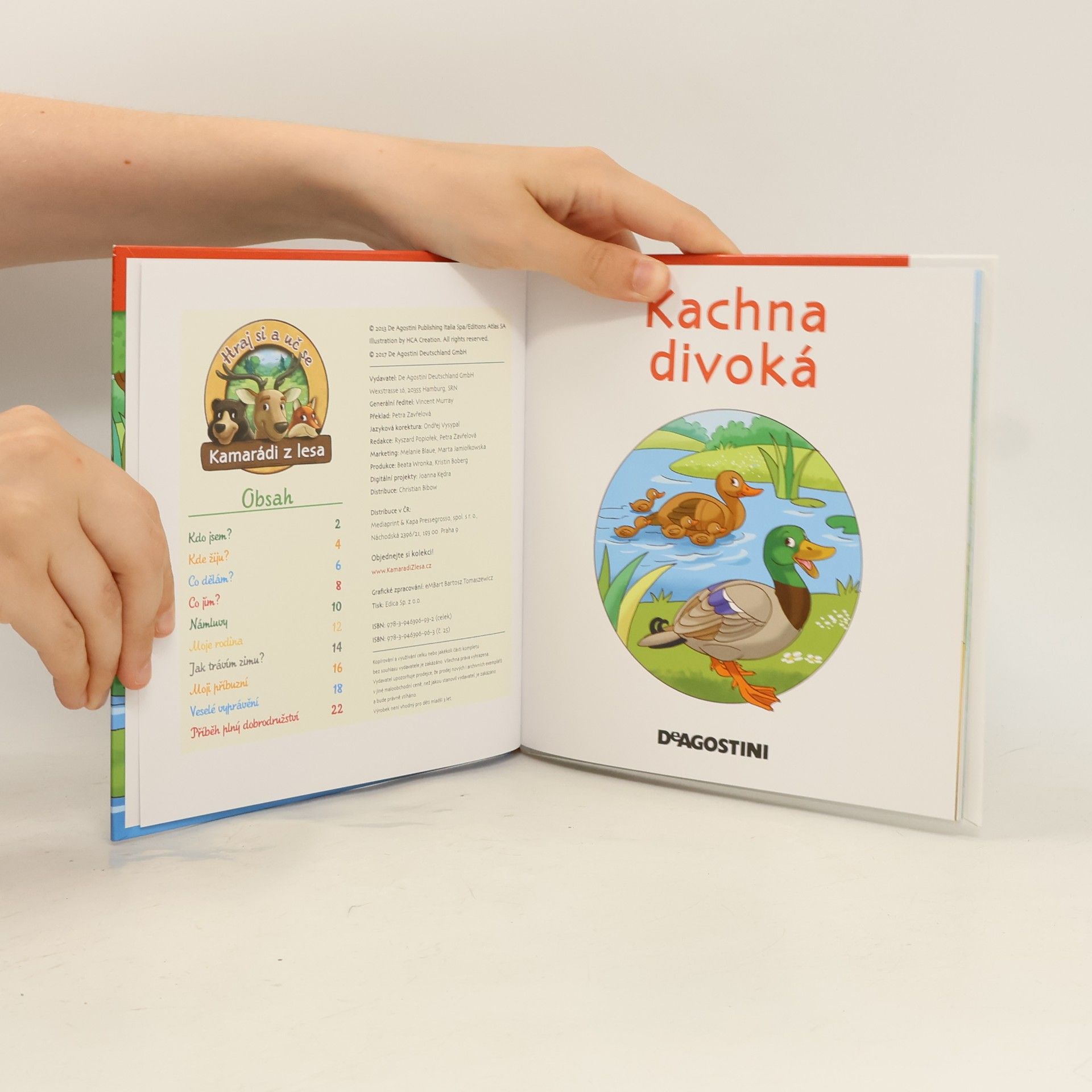 Kolektiv autorů Na okraji lesa 25. Kachna divoká