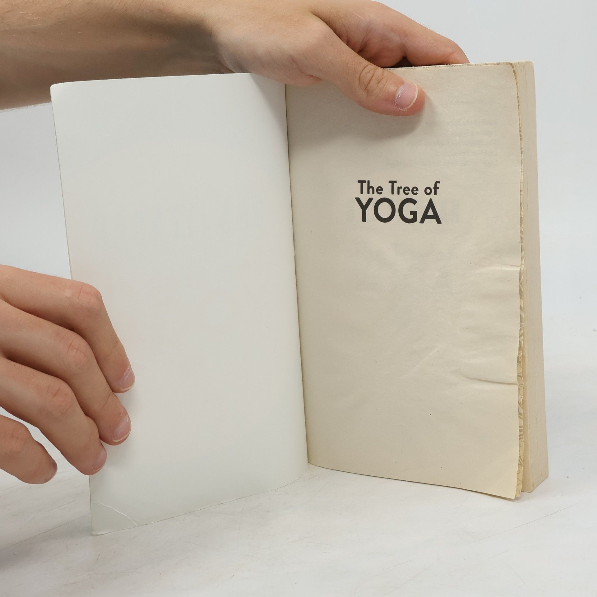 B. K. S. Iyengar The Tree of Yoga