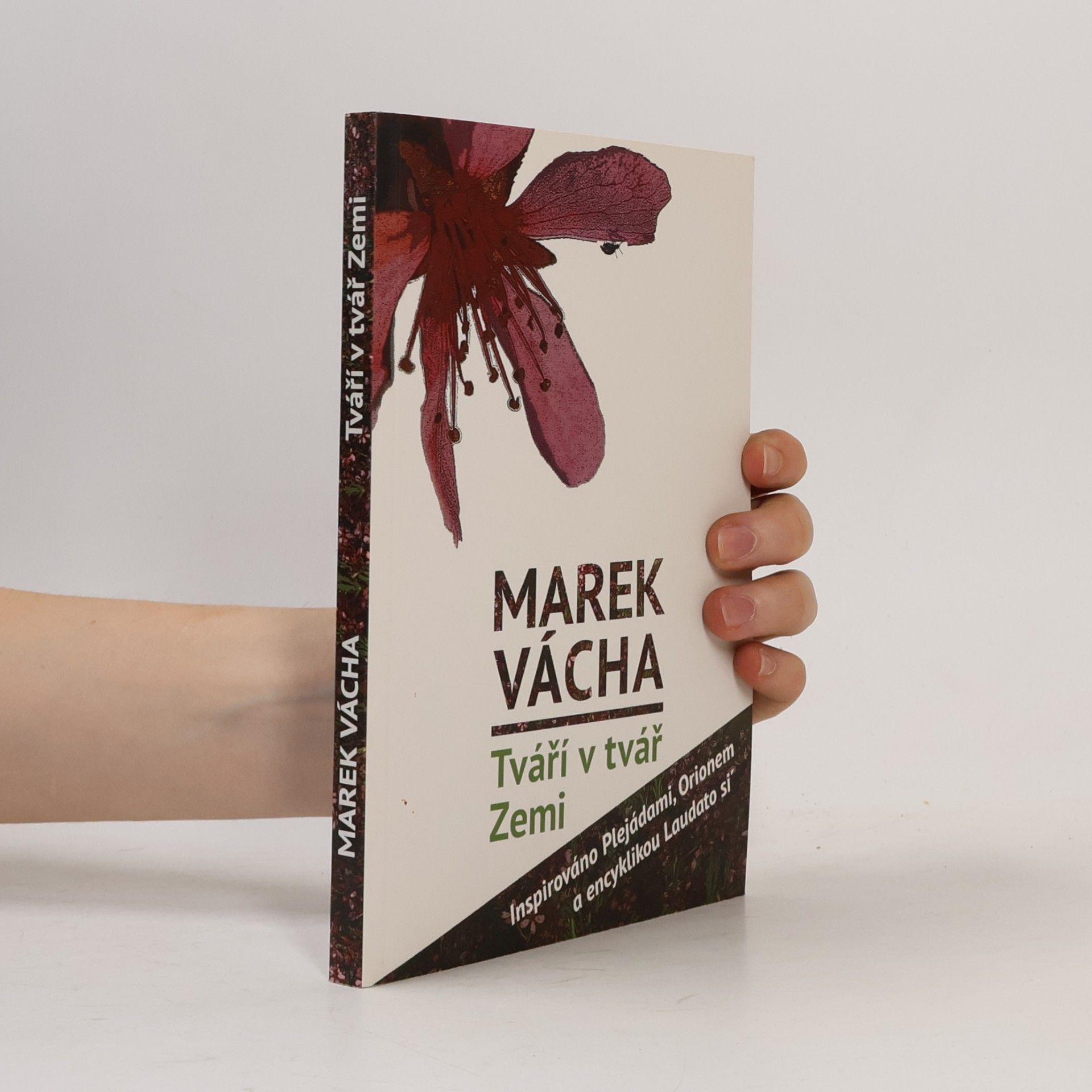 Marek Vácha Tváří v tvář Zemi