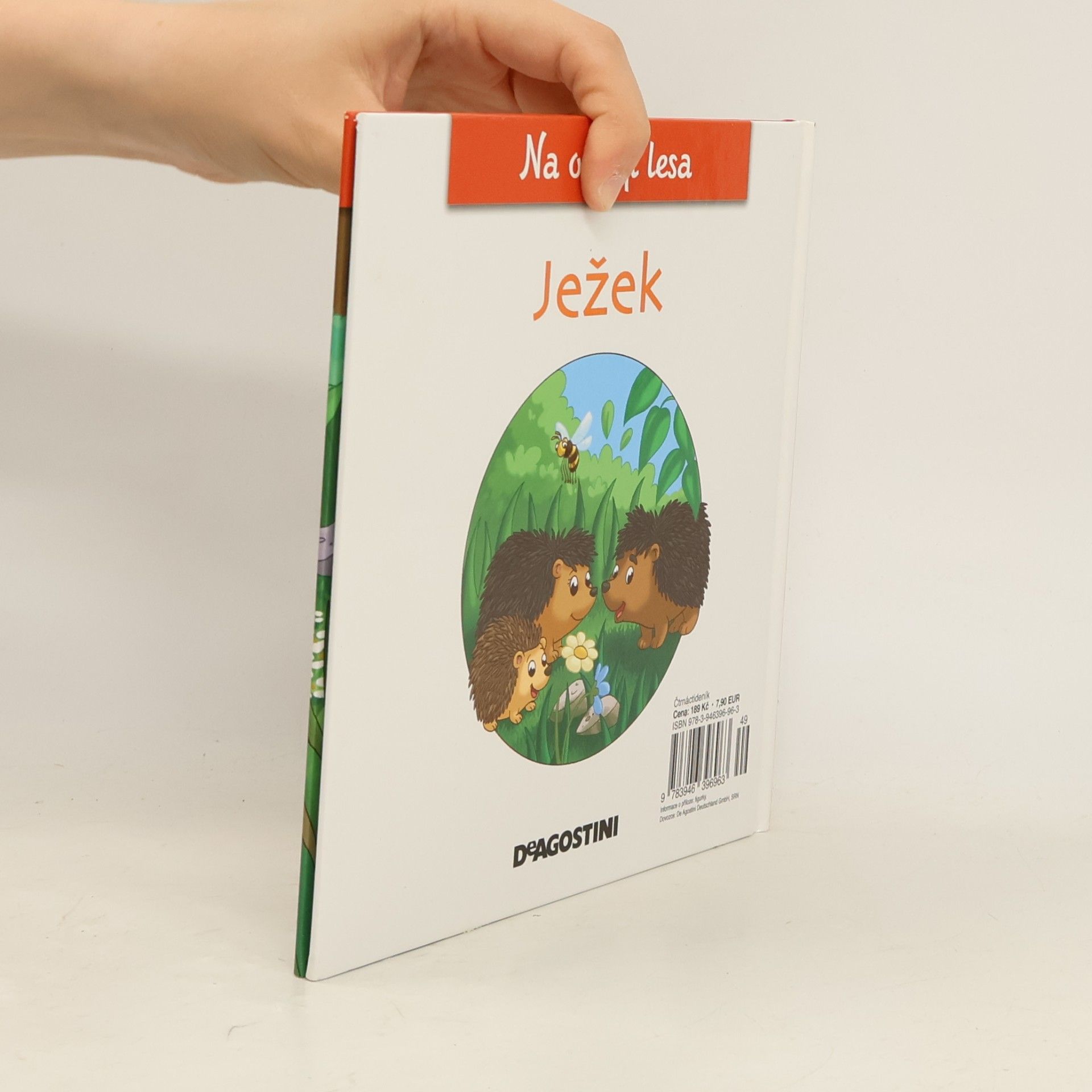 Kolektív autorov Na kraji lesa 8. Ježek