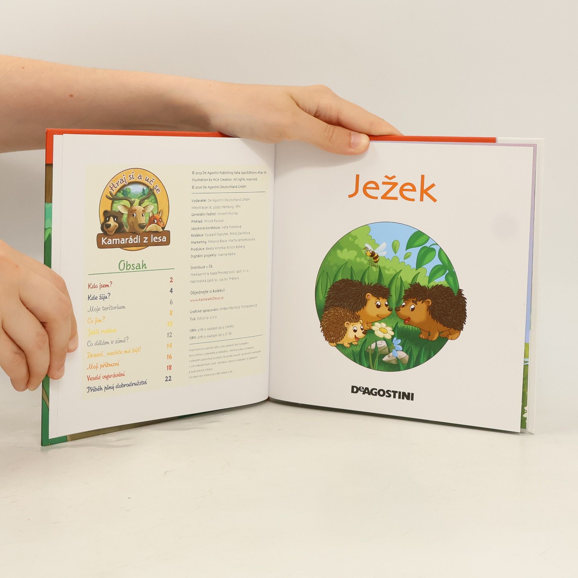 Kolektív autorov Na kraji lesa 8. Ježek