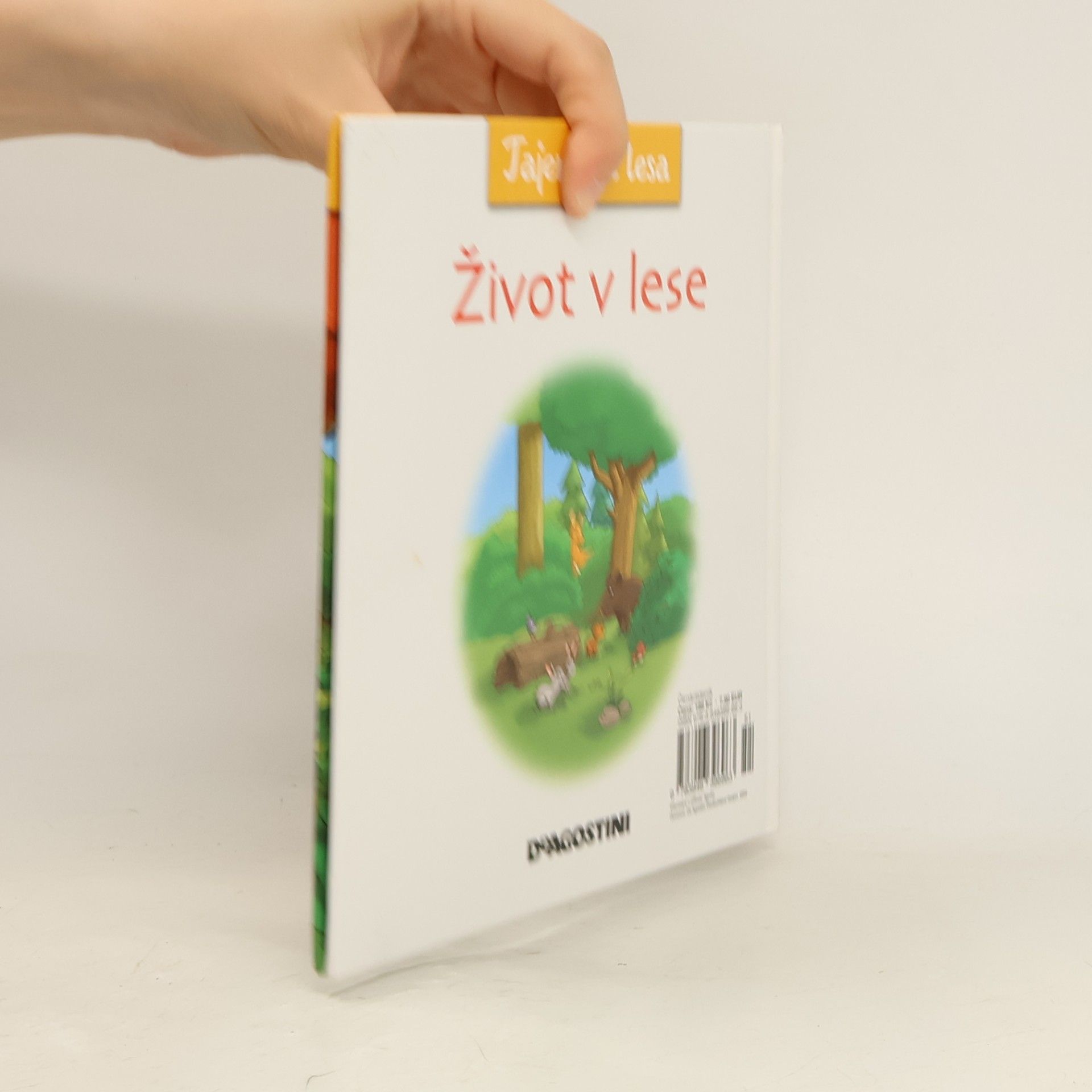 Kolektív autorov Tajemství lesa 9. Život v lese