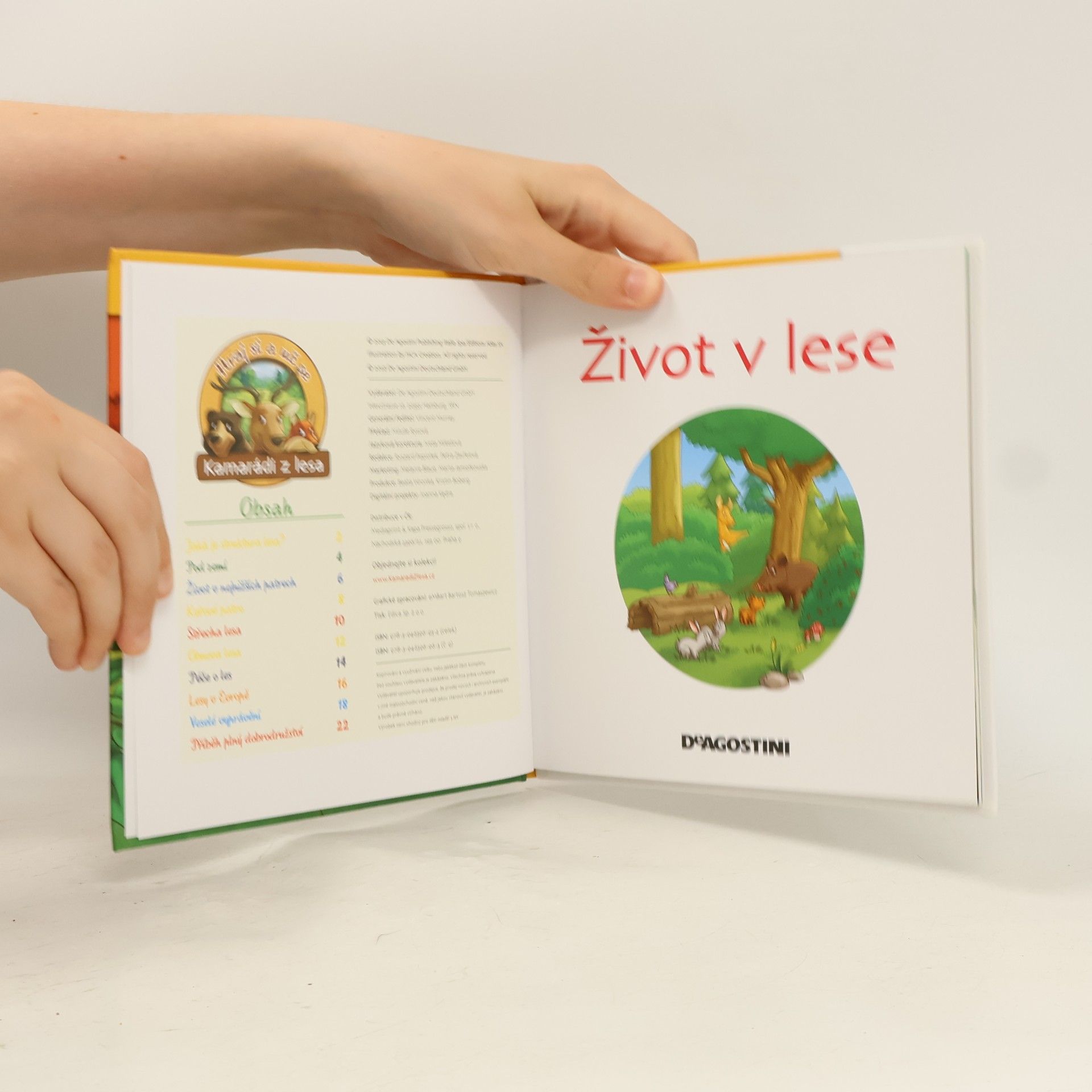 Kolektív autorov Tajemství lesa 9. Život v lese