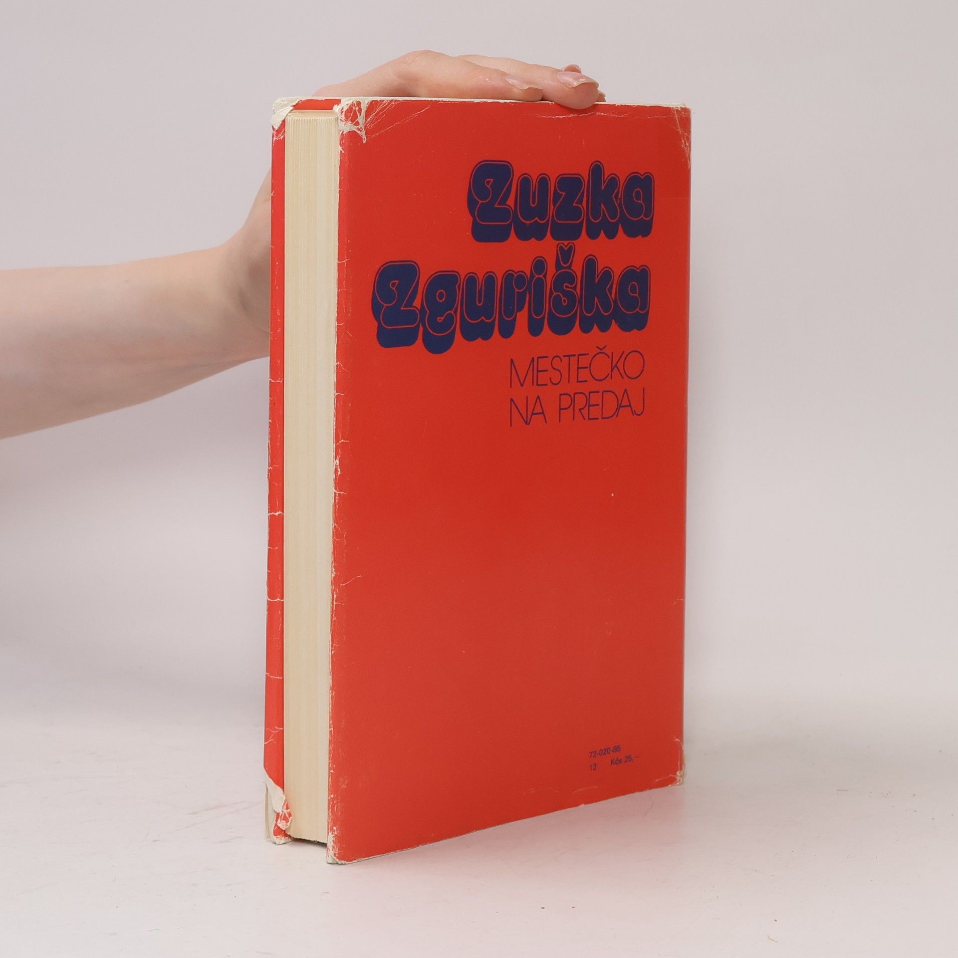 Zuzka Zguriška Mestečko na predaj 4