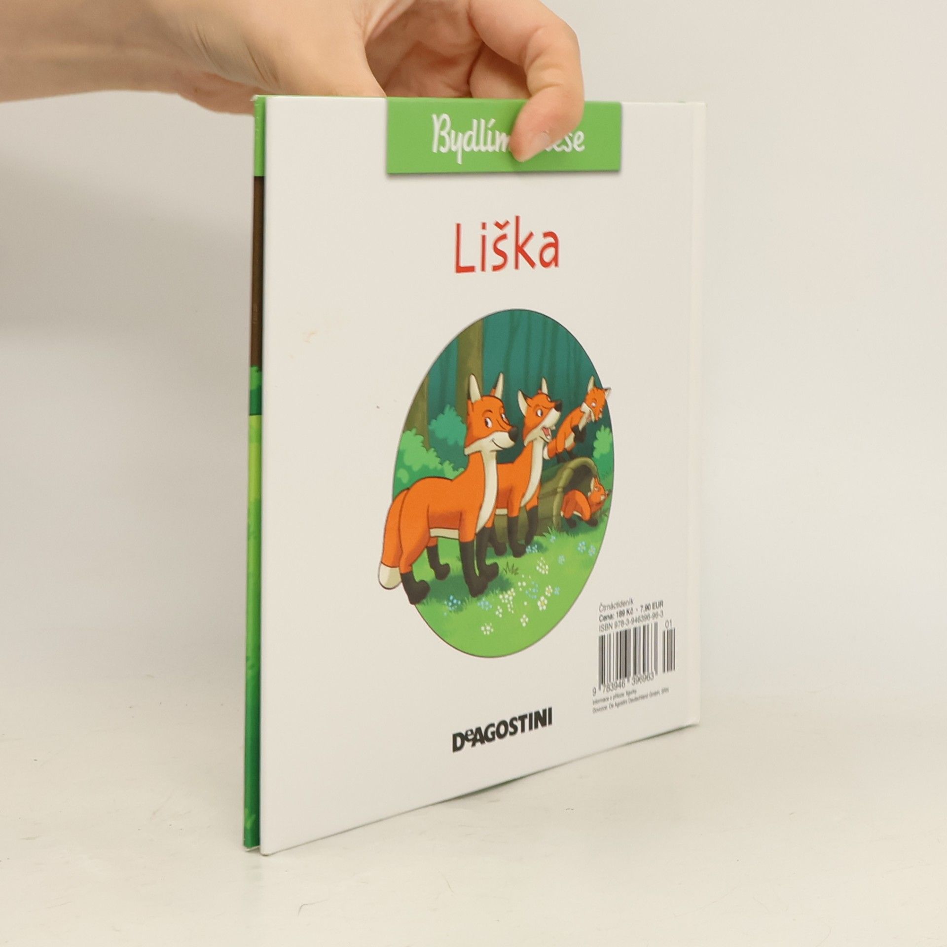 Autores varios Bydlím v lese 10. Liška
